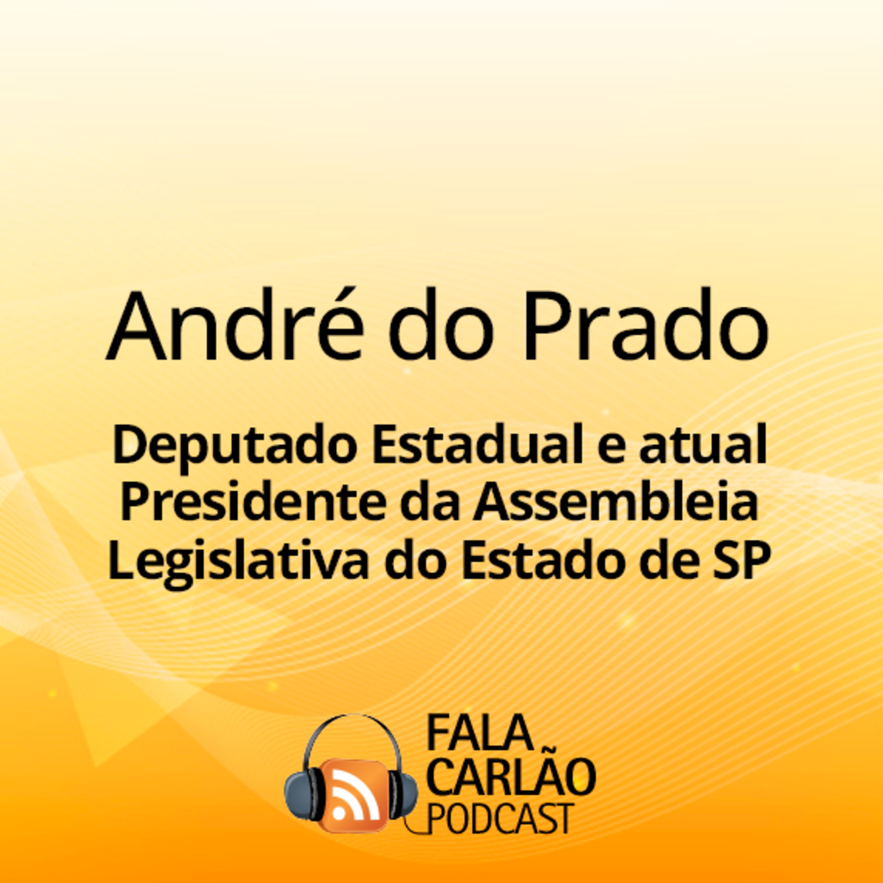 33 anos de vida pública a serviço de São Paulo | Fala Carlão  episode artwork