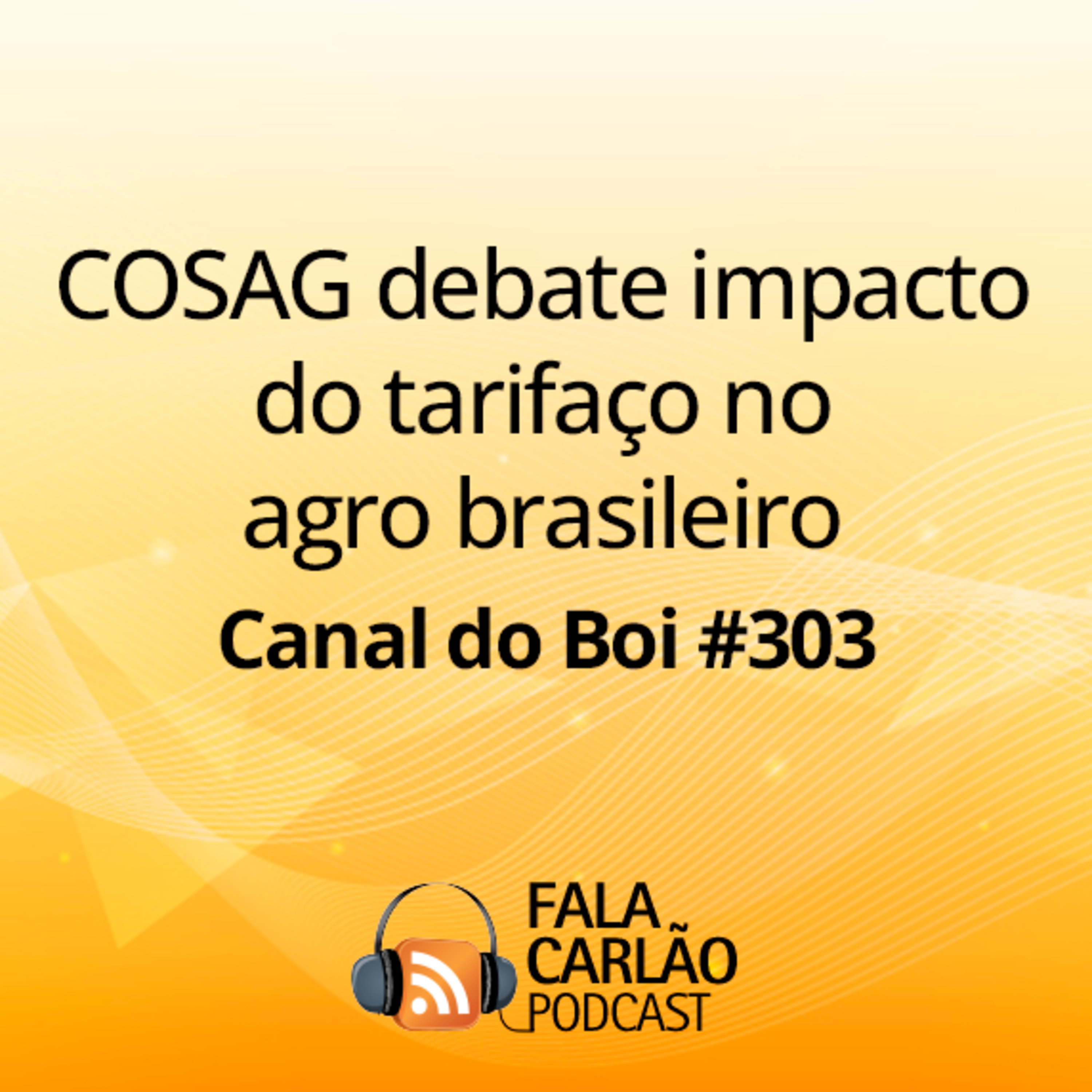 COSAG debate impacto do tarifaço no agro brasileiro | Canal do Boi #303 