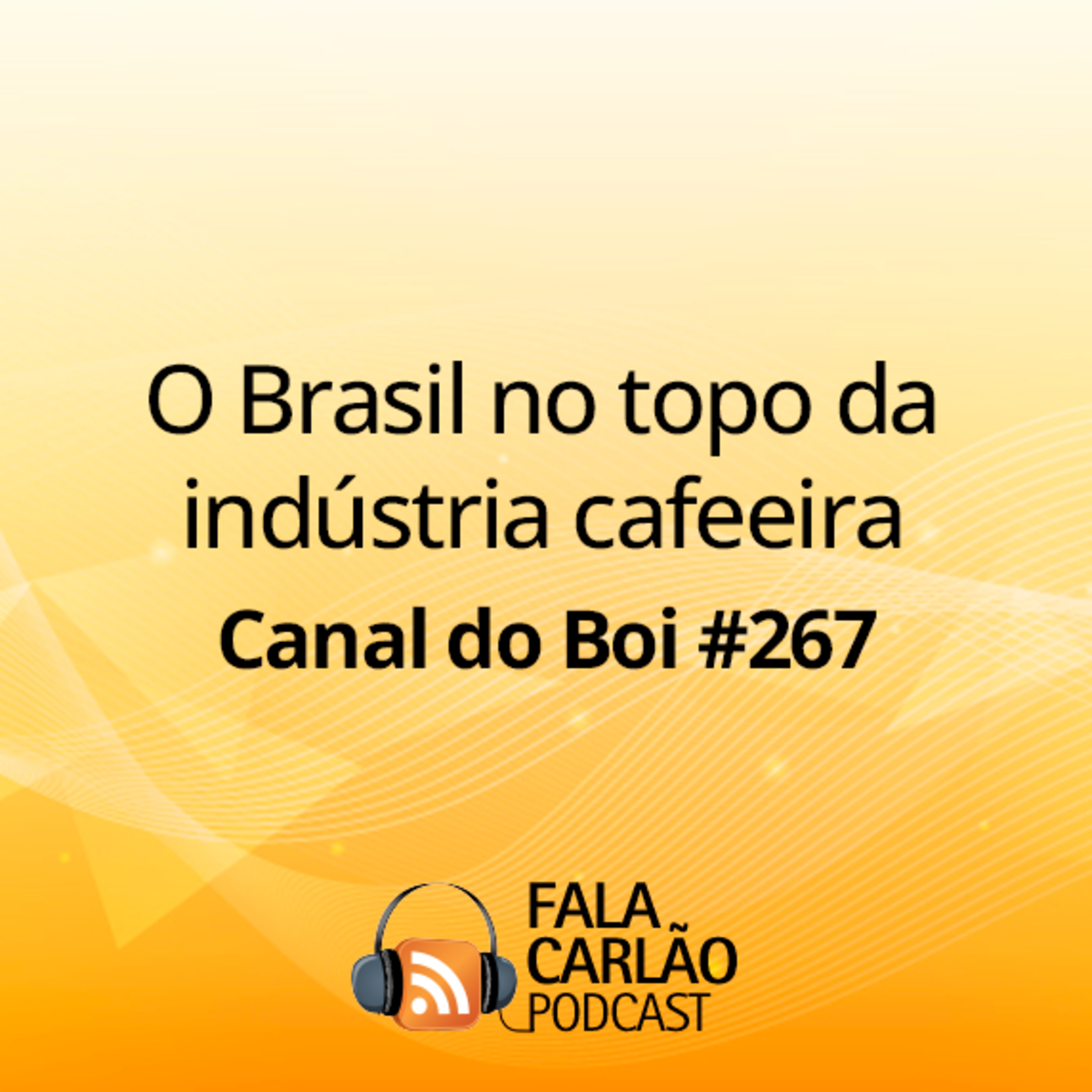 O Brasil no topo da indústria cafeeira | Canal do Boi #267 
