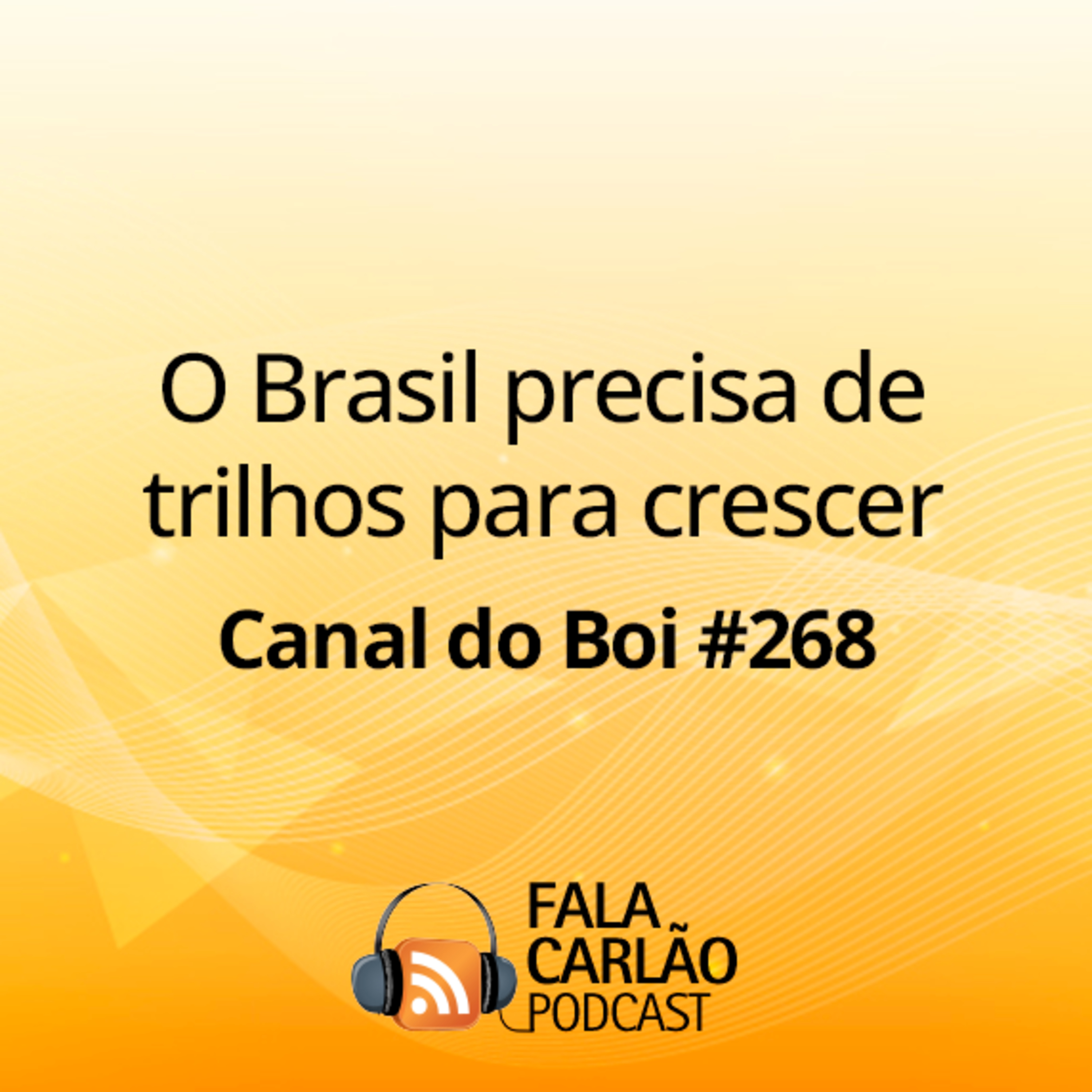 O Brasil precisa de trilhos para crescer | Canal do Boi #268 