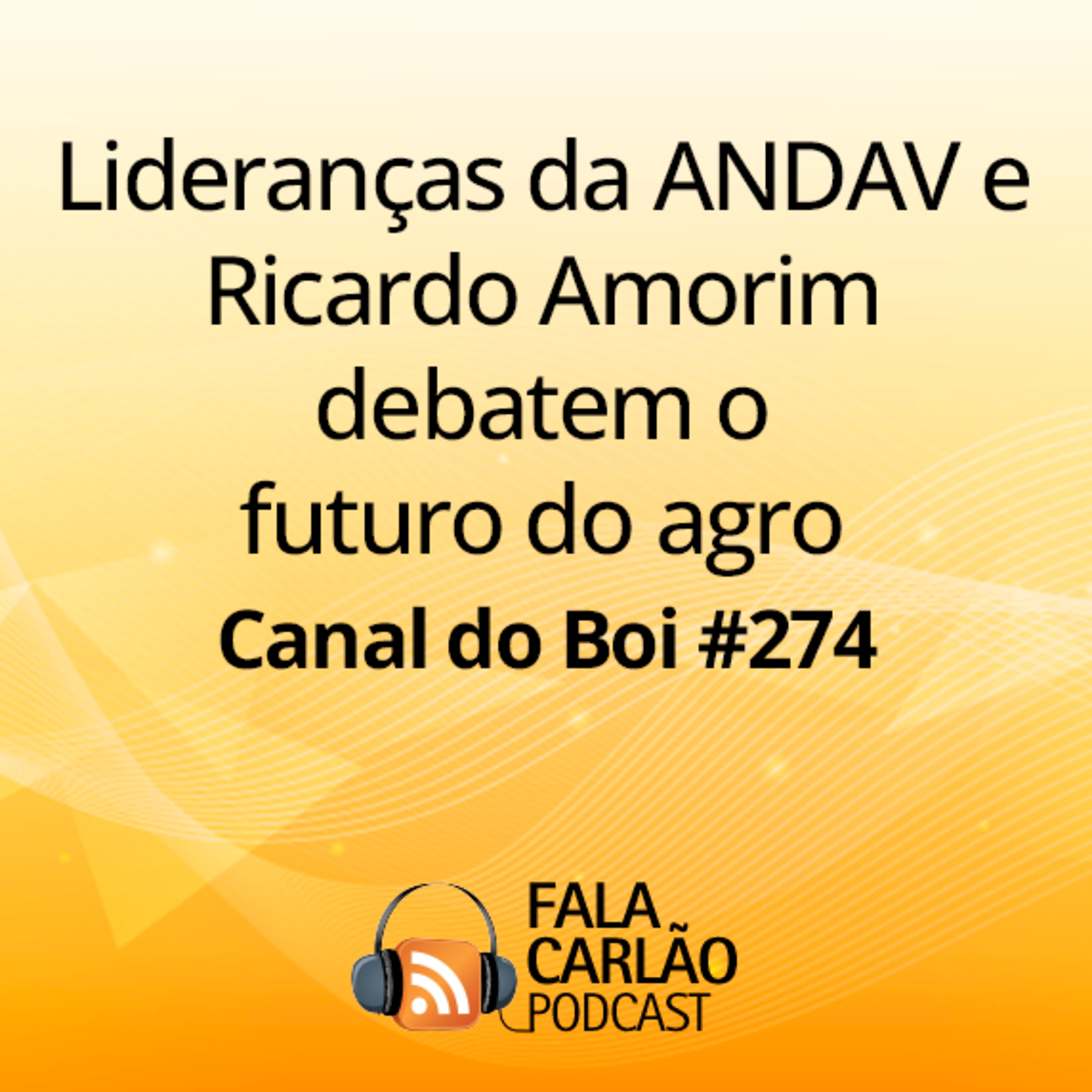 Lideranças da ANDAV e Ricardo Amorim debatem o futuro do agro | Canal do Boi #274 