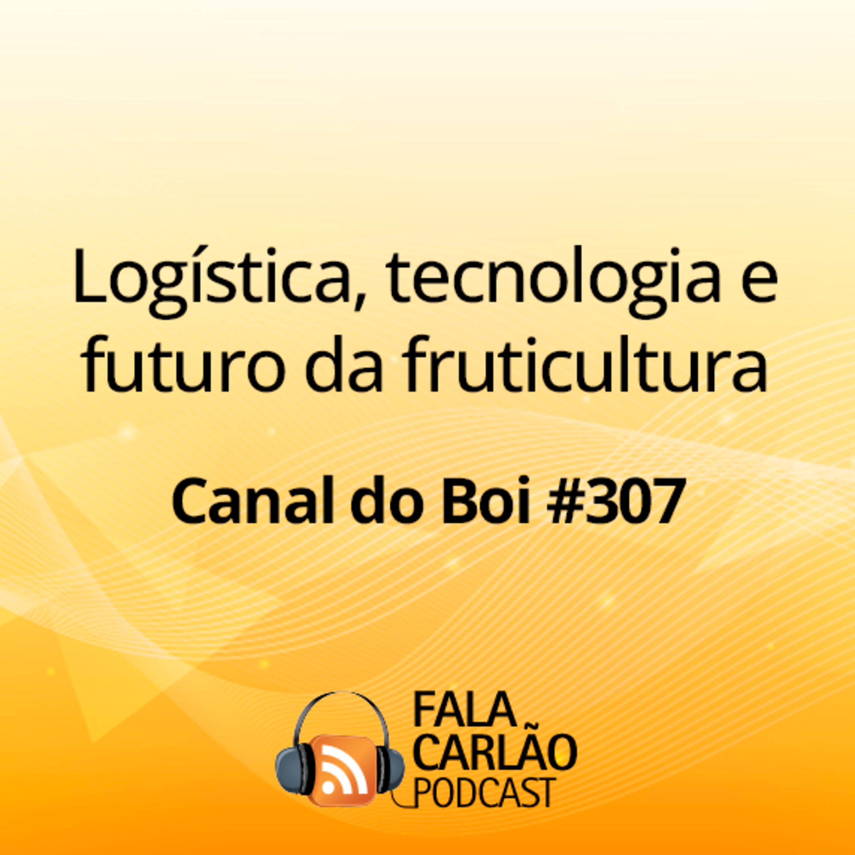 Logística, tecnologia e futuro da fruticultura | Canal do Boi #307  episode artwork