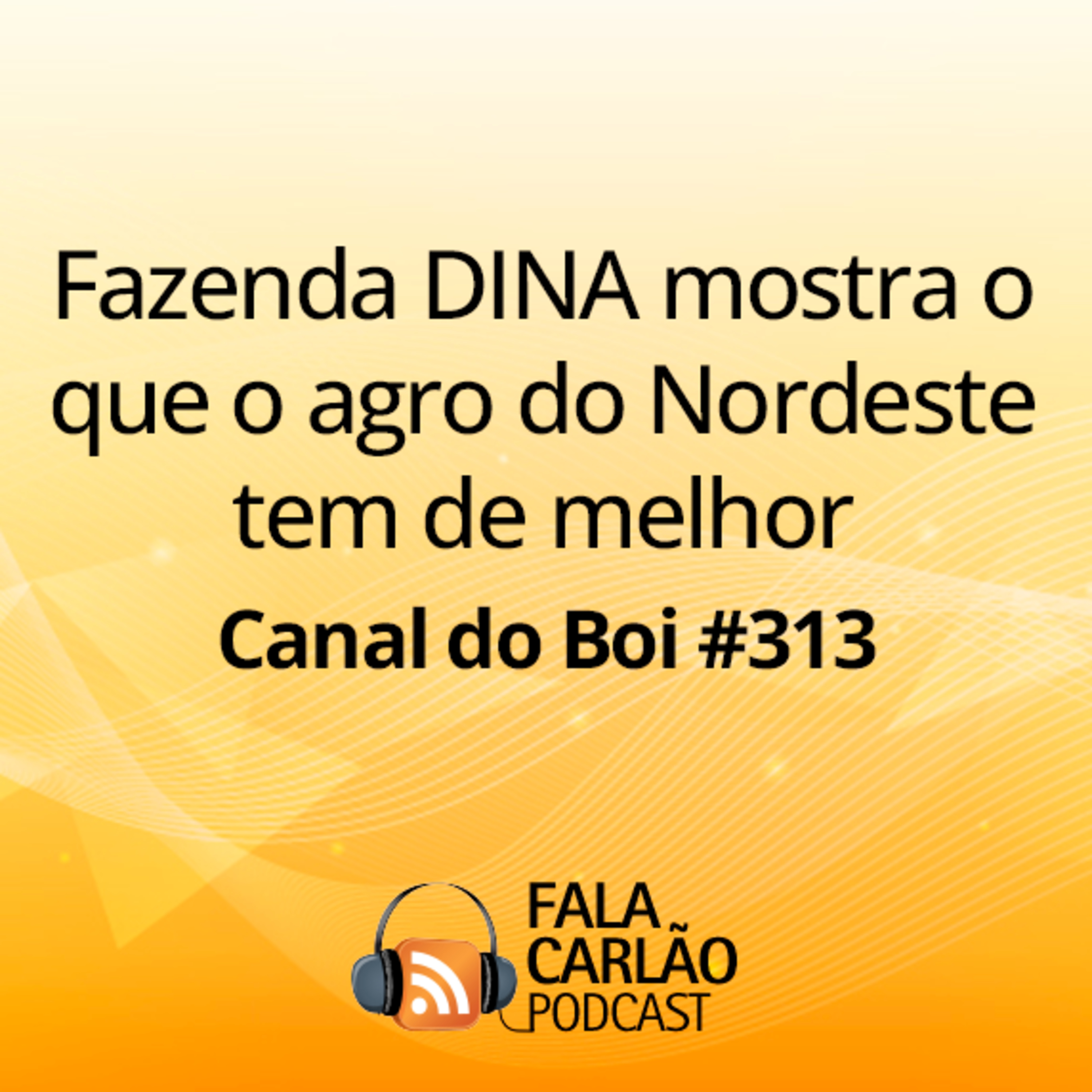 Fazenda DINA mostra o que o agro do Nordeste tem de melhor | Canal do Boi #313  episode artwork