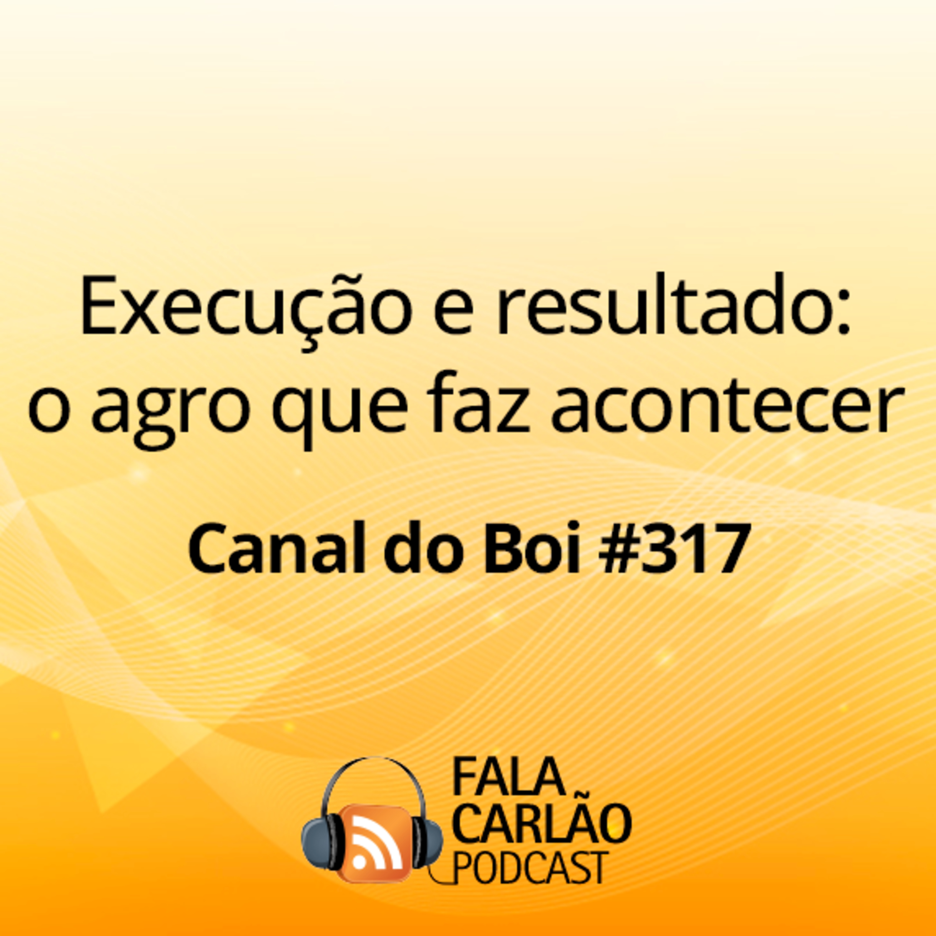 Execução e resultado: o agro que faz acontecer | Canal do Boi #317 