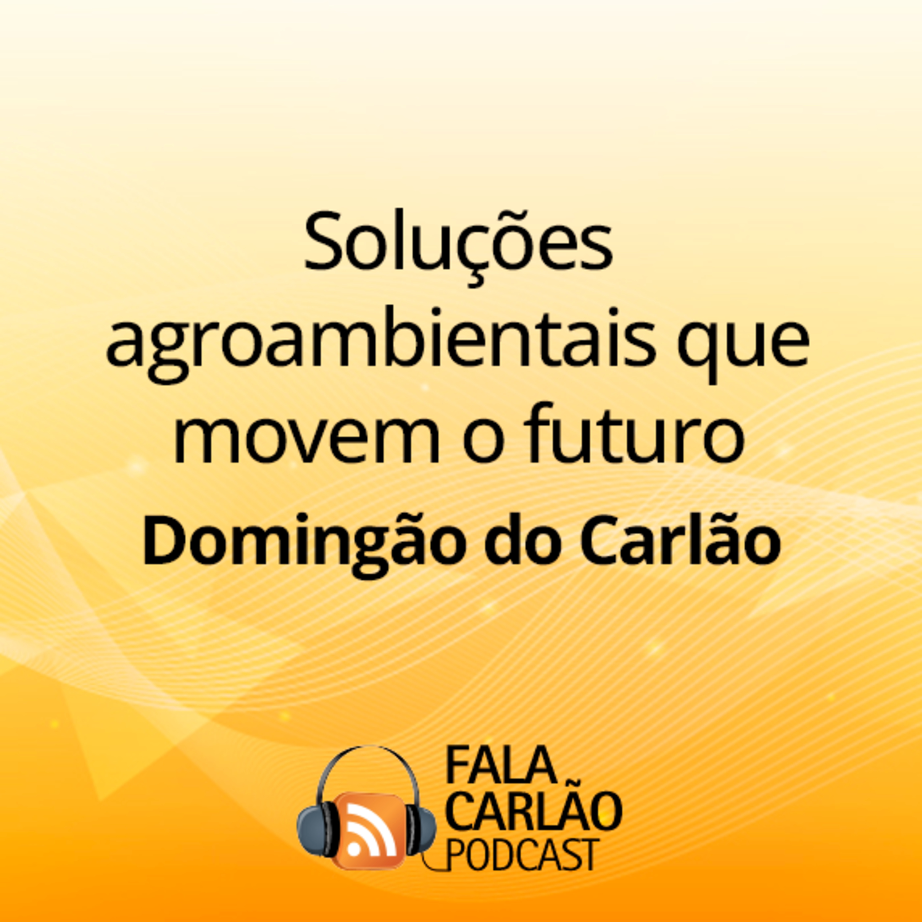 Soluções agroambientais que movem o futuro | Domingão do Carlão  episode artwork