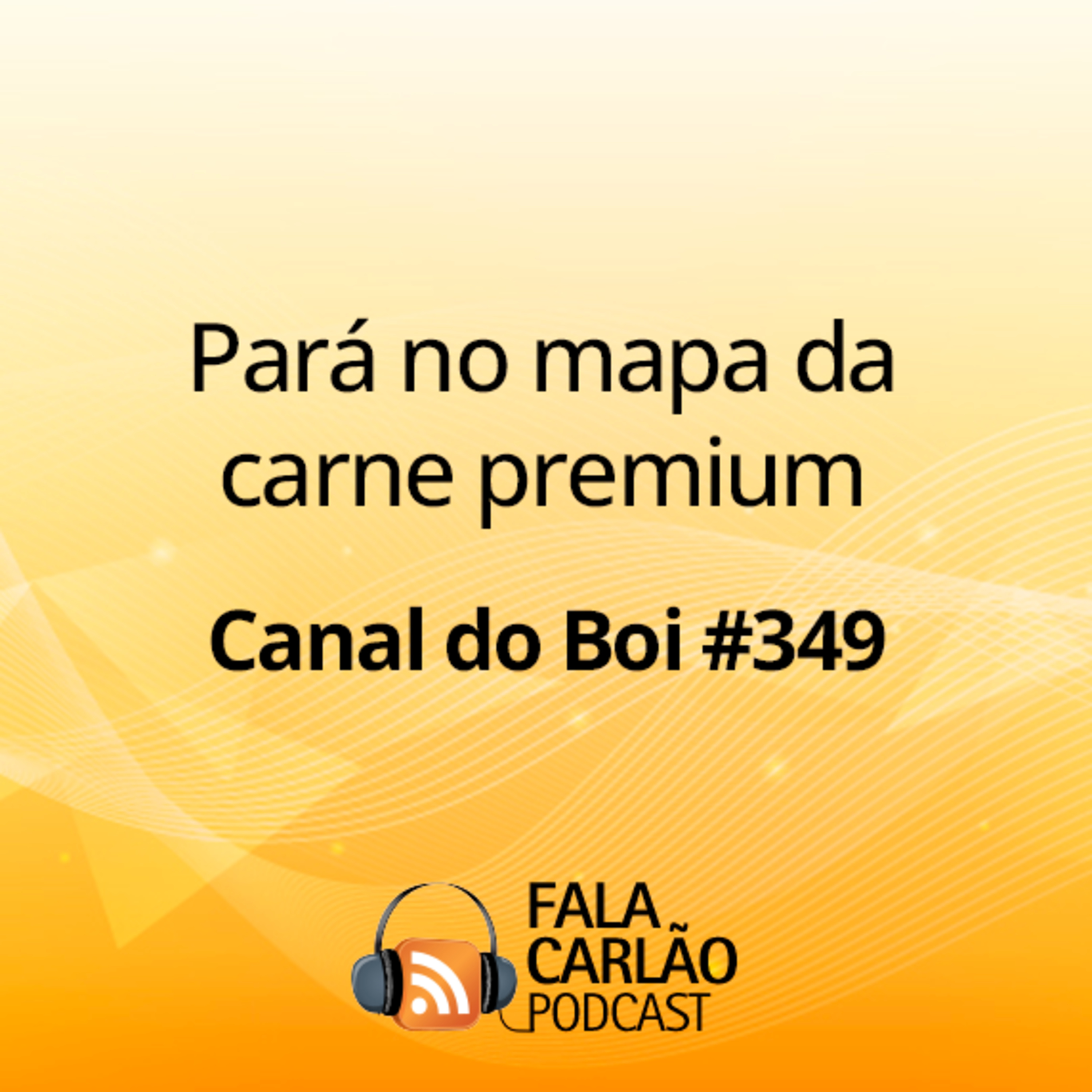 Pará no mapa da carne premium | Canal do Boi #349 