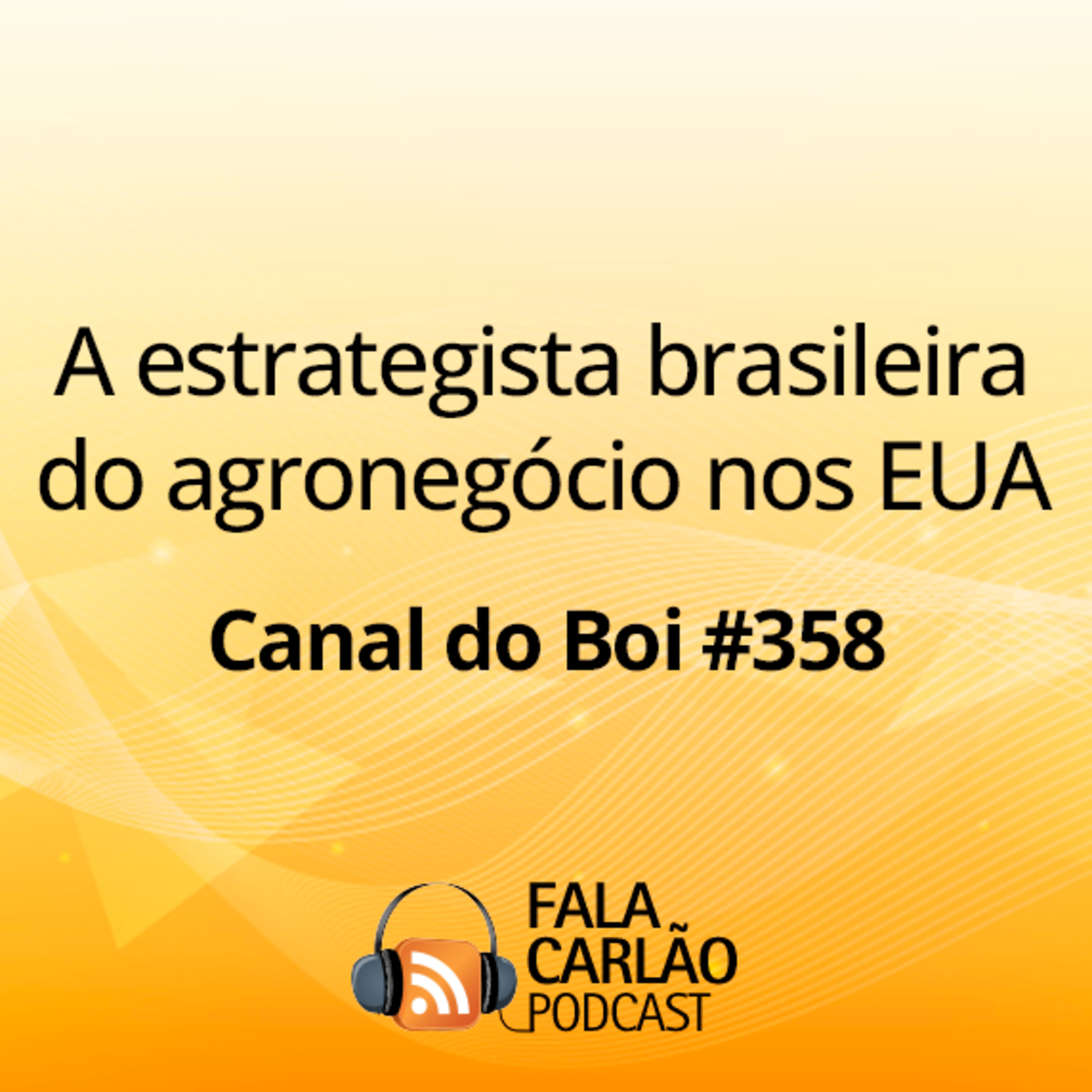 A estrategista brasileira do agronegócio nos EUA | Canal do Boi #358  episode artwork