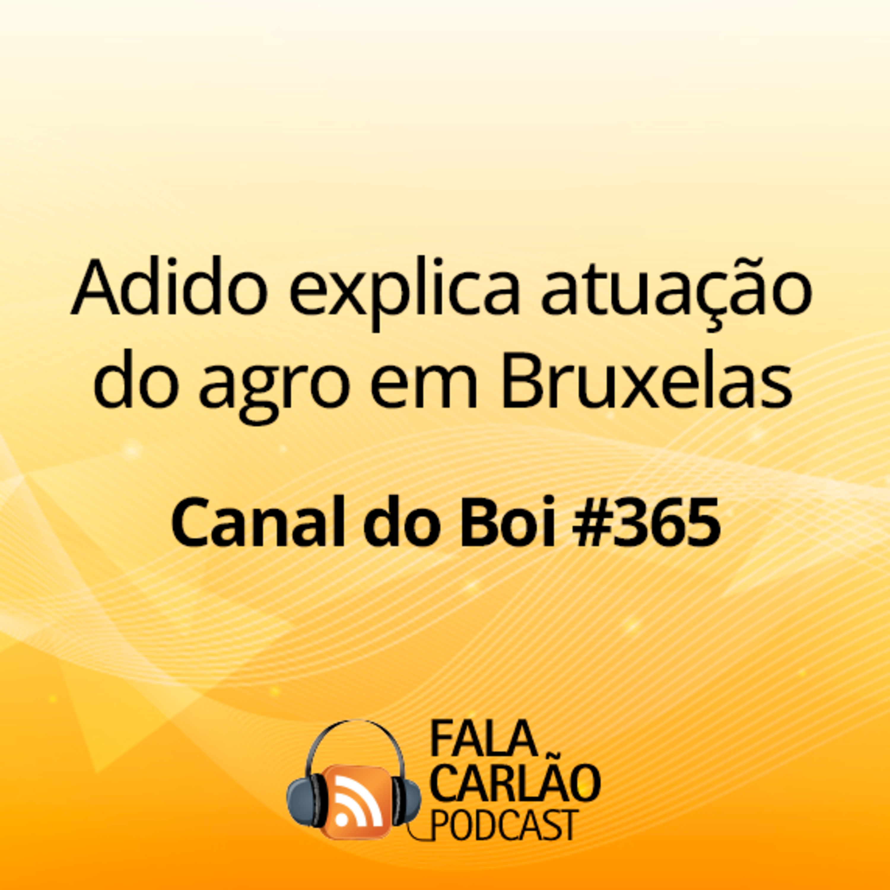 Adido explica atuação do agro em Bruxelas | Canal do Boi #365 