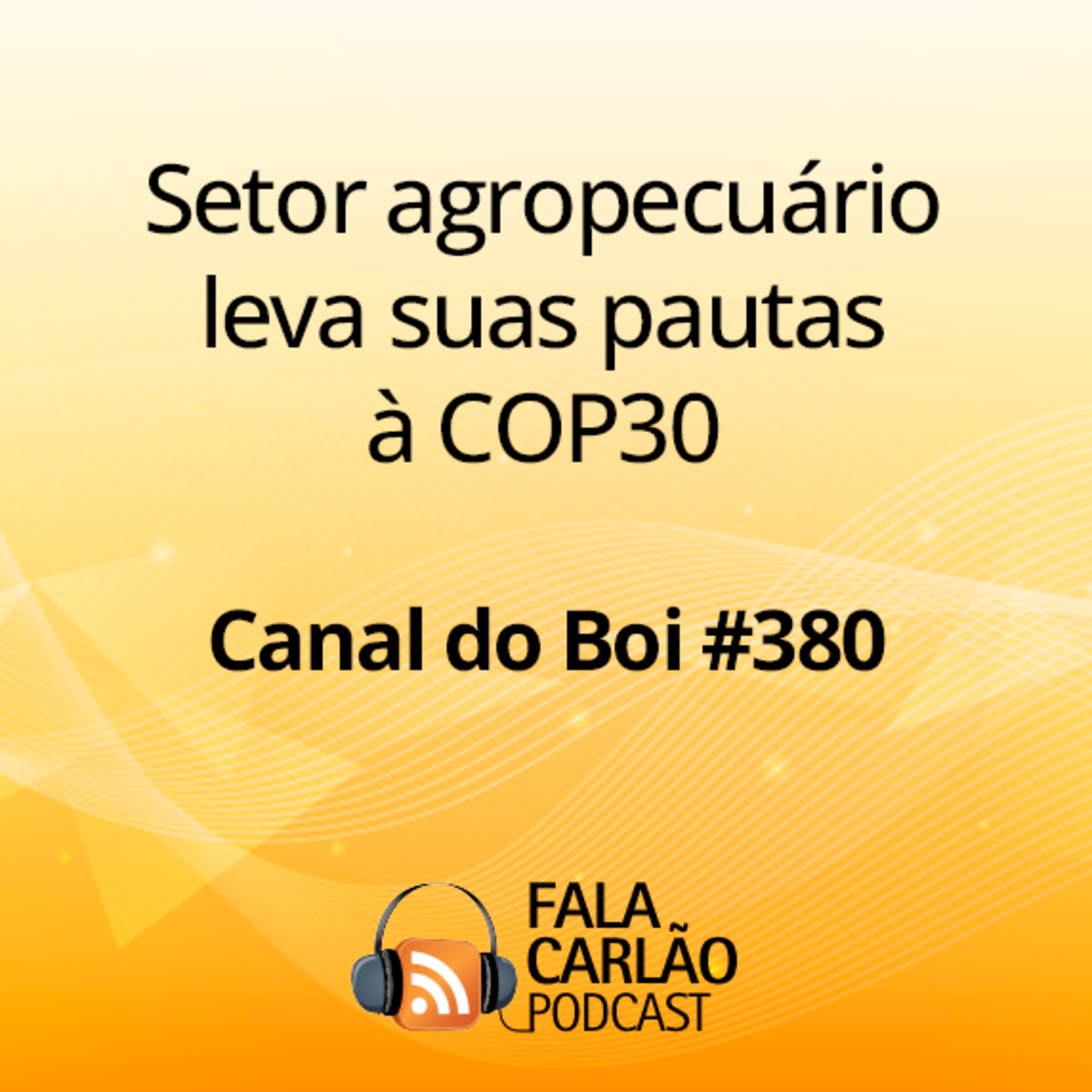 Setor agropecuário leva suas pautas à COP30 | Canal do Boi #380  episode artwork