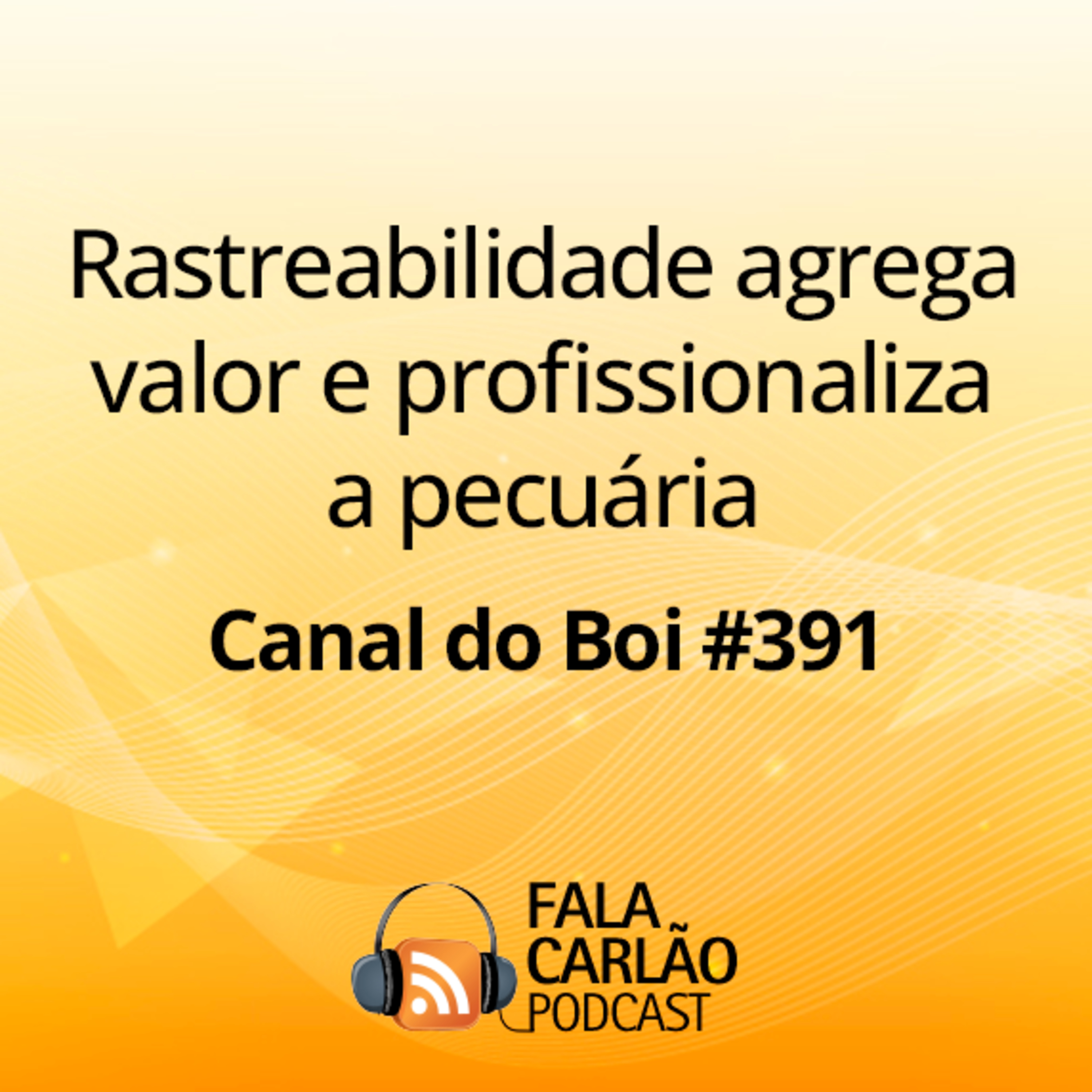 Rastreabilidade agrega valor e profissionaliza a pecuária | Canal do Boi #391  episode artwork