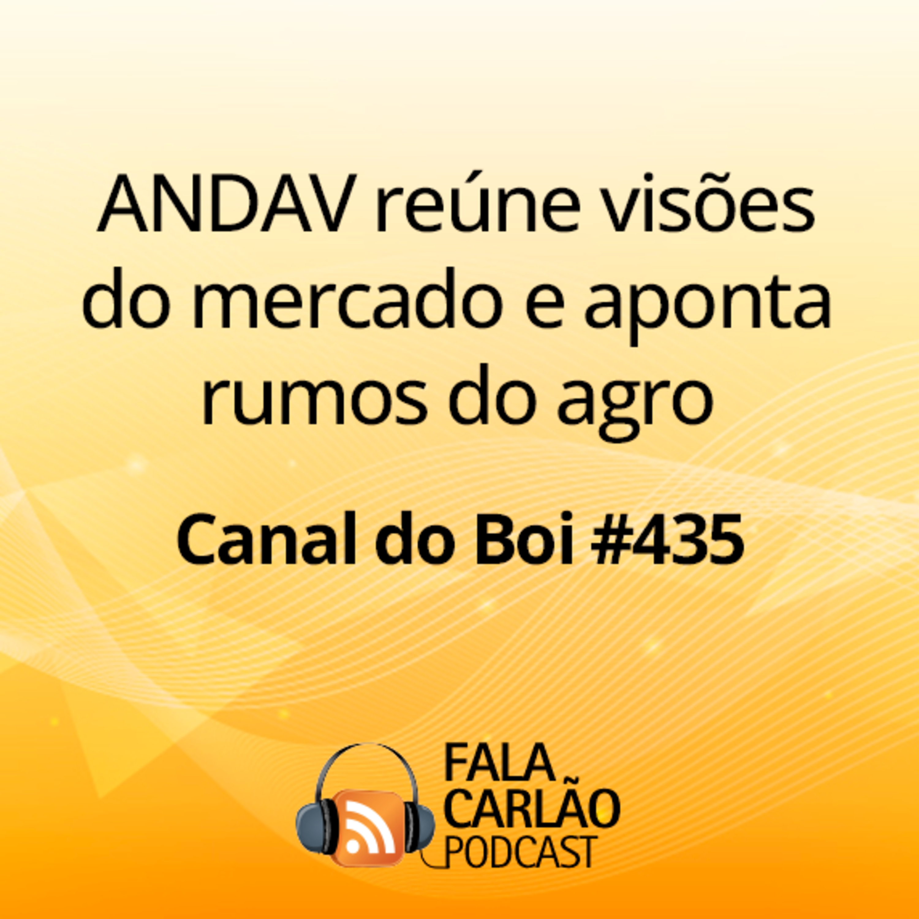 ANDAV reúne visões do mercado e aponta rumos do agro | Canal do Boi #435  episode artwork
