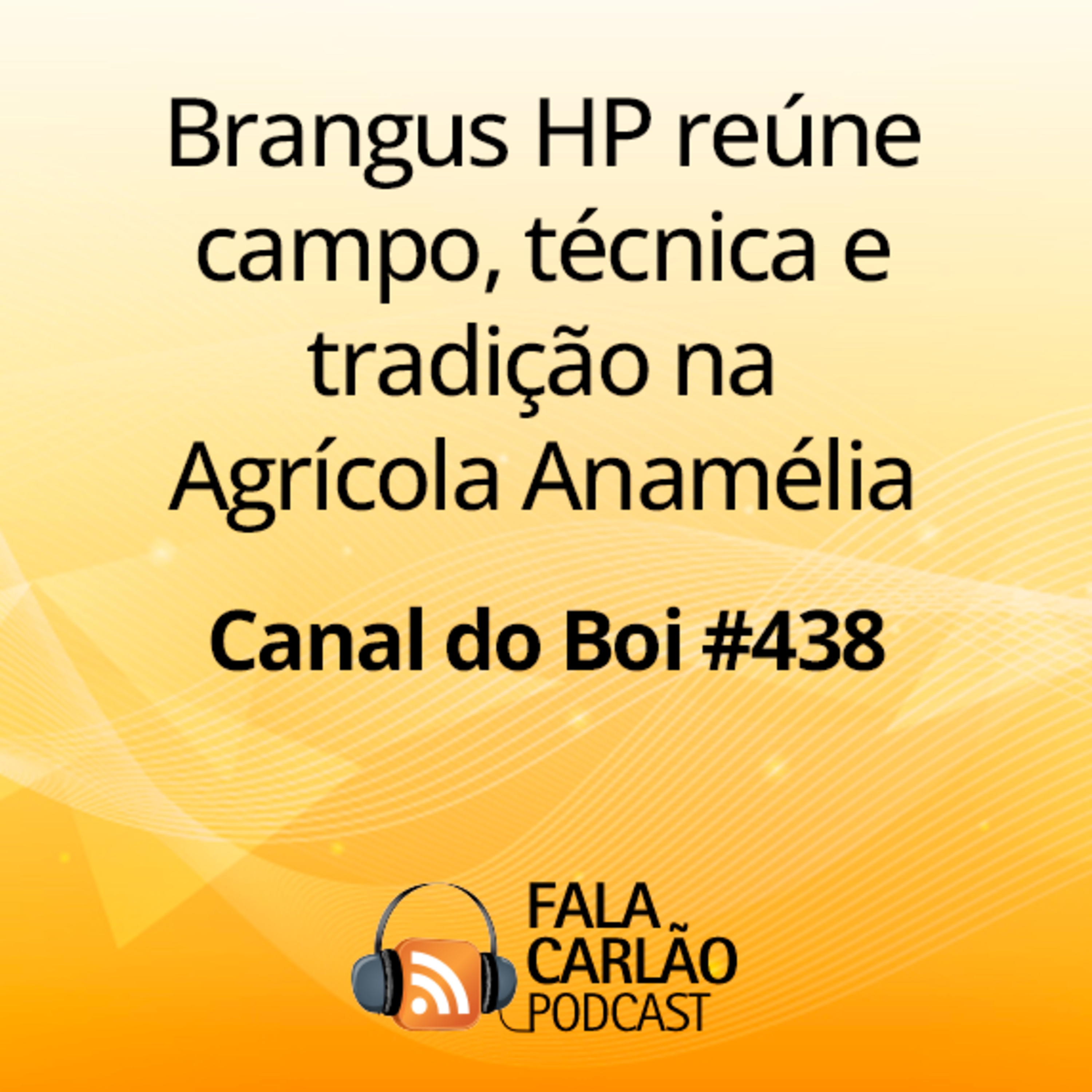 Brangus HP reúne campo, técnica e tradição na Agrícola Anamélia | Canal do Boi #438 