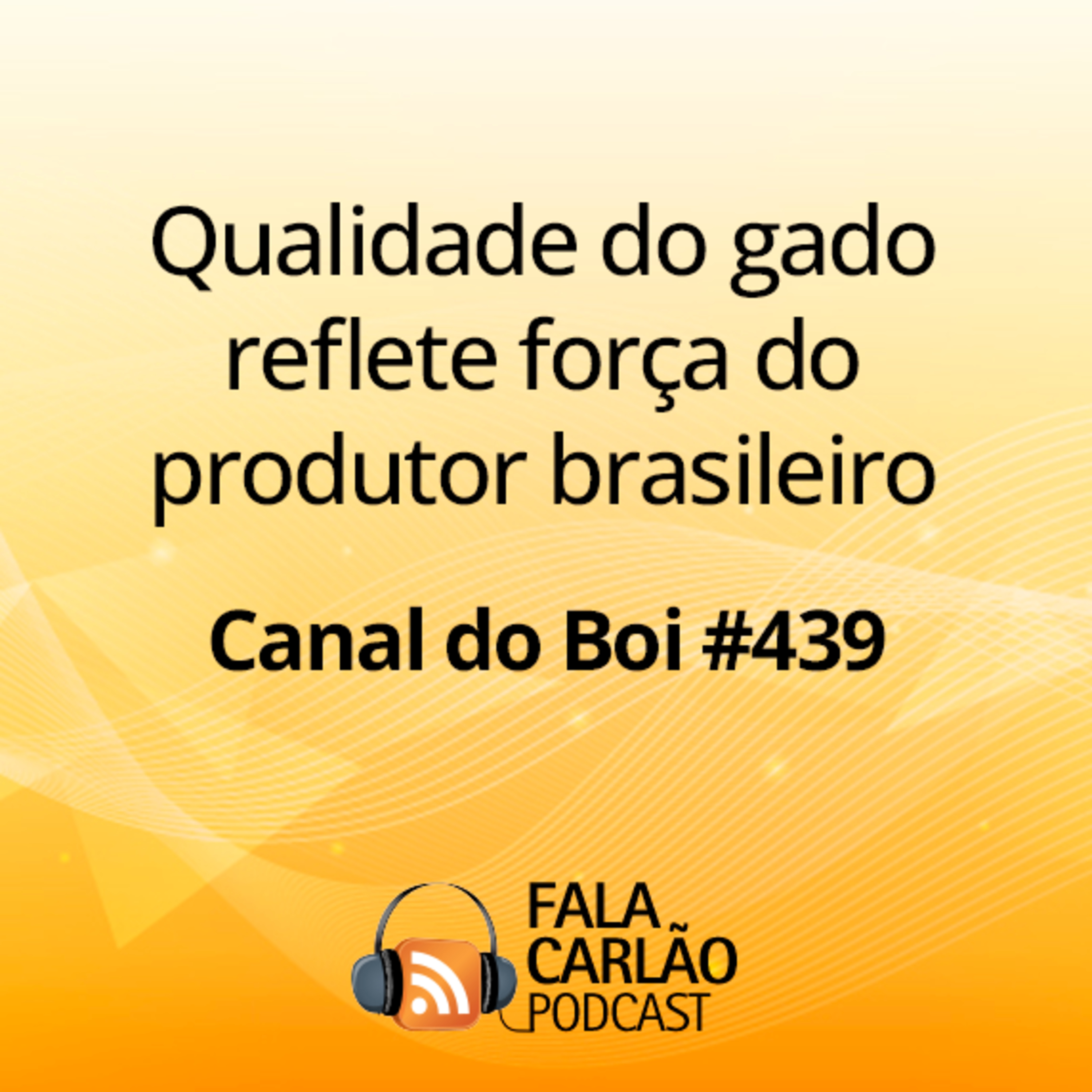 Qualidade do gado reflete força do produtor brasileiro | Canal do Boi #439 