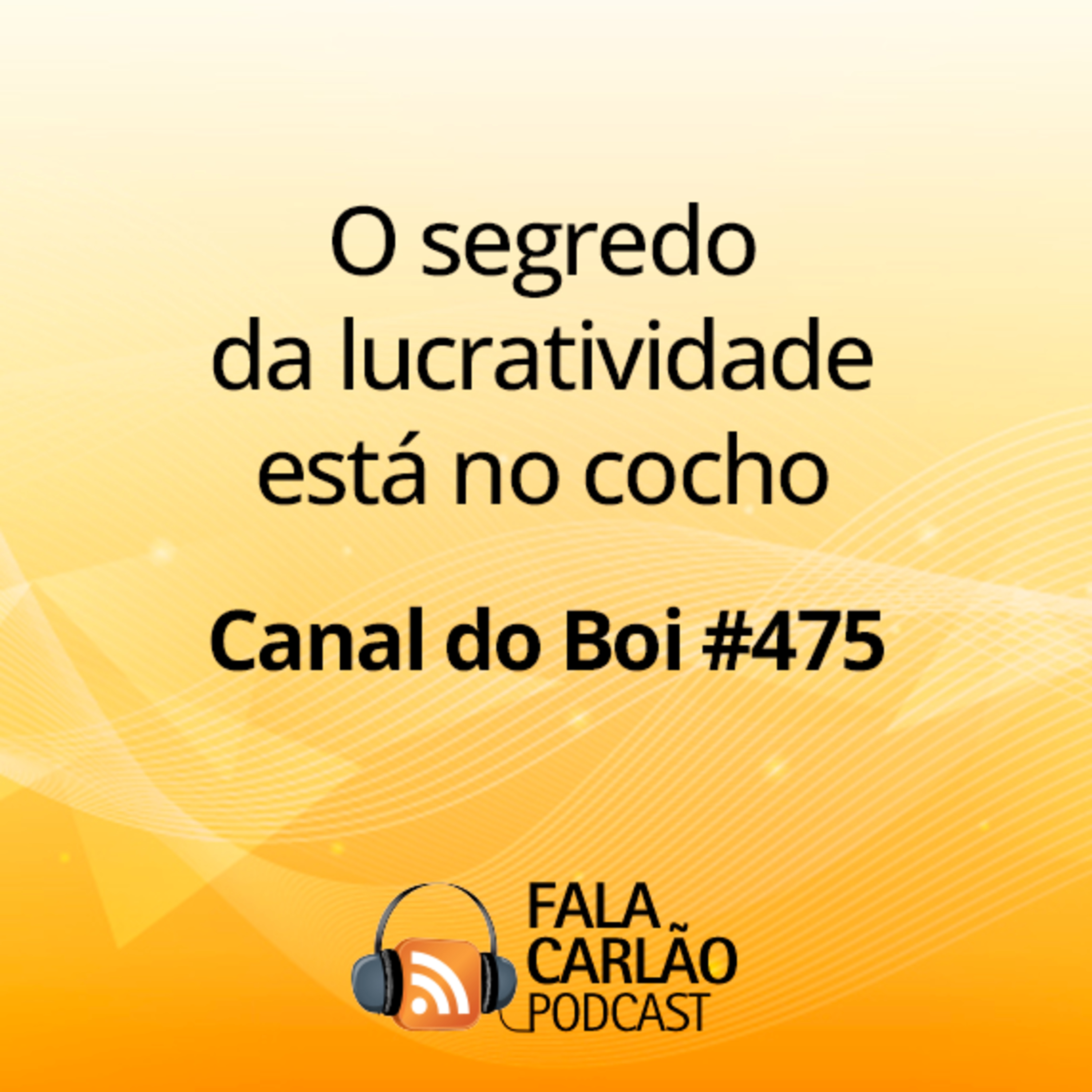O segredo da lucratividade está no cocho | Canal do Boi #475  episode artwork