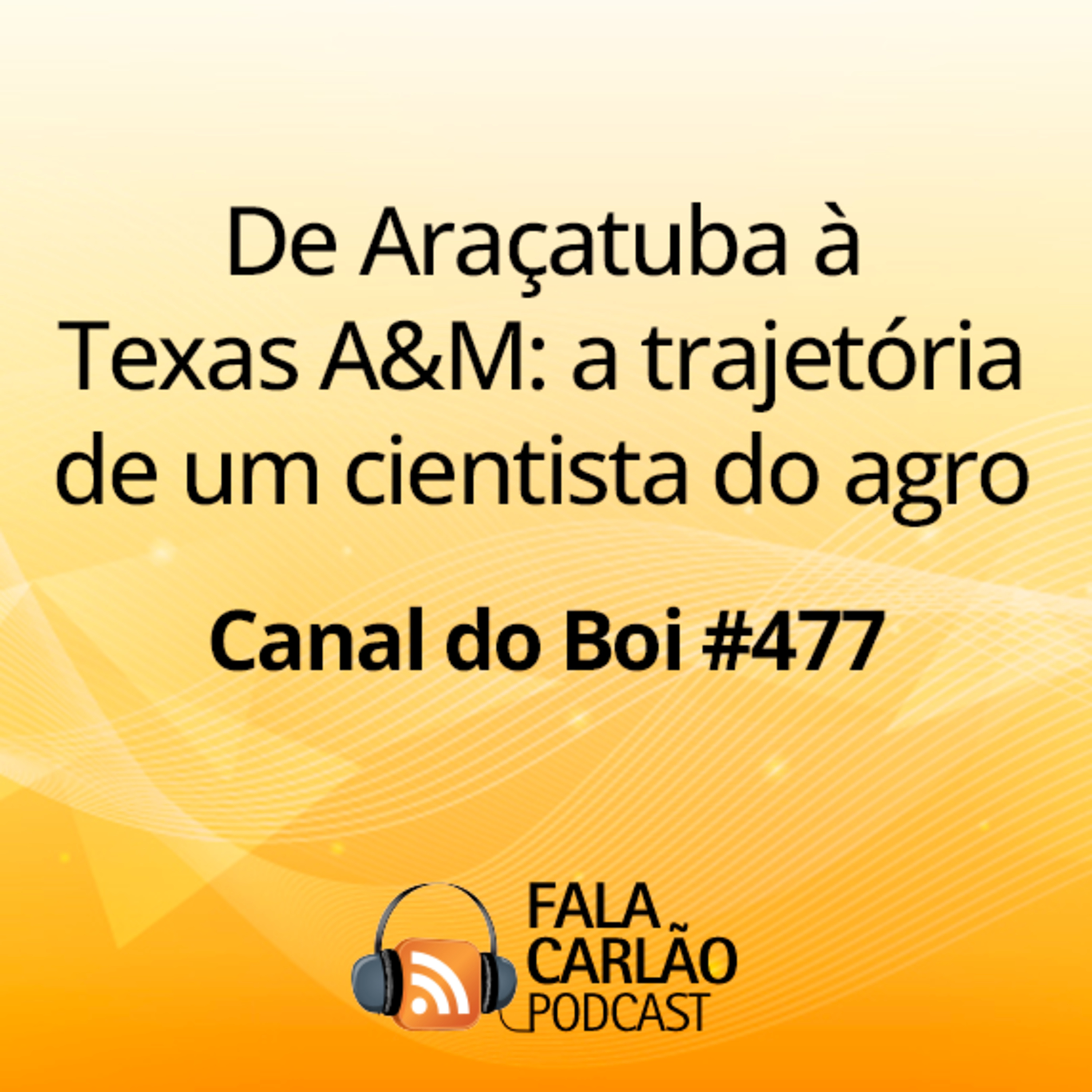 De Araçatuba à Texas A&M: a trajetória de um cientista do agro | Canal do Boi #477  episode artwork