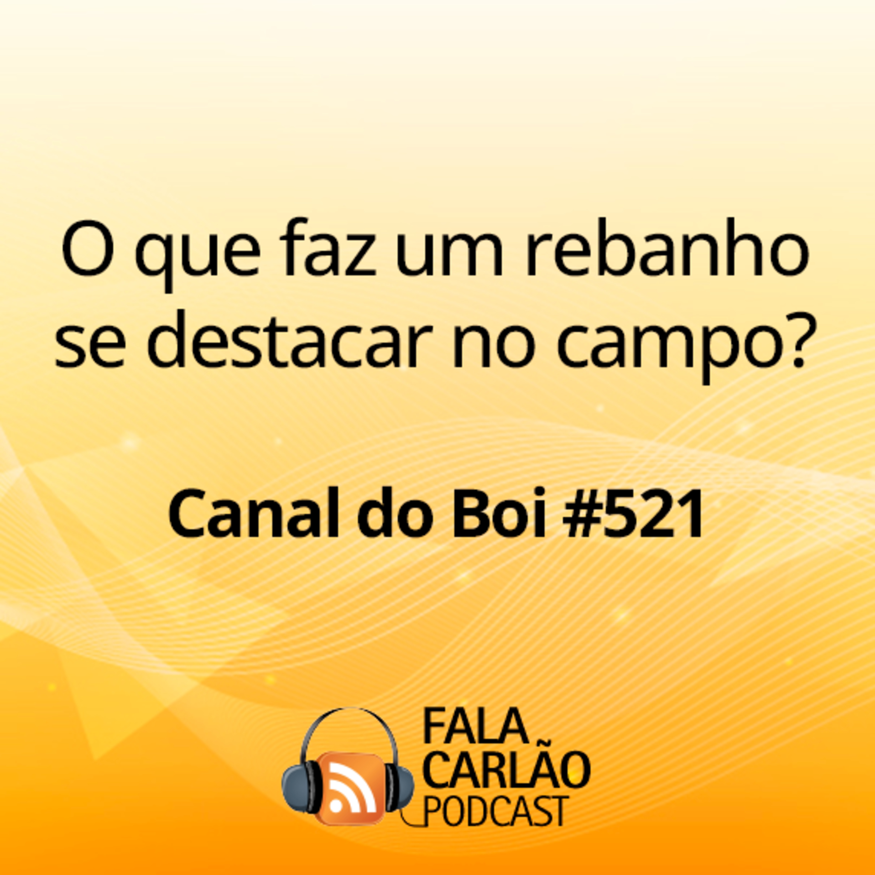 O que faz um rebanho se destacar no campo? | Canal do Boi #521 episode artwork