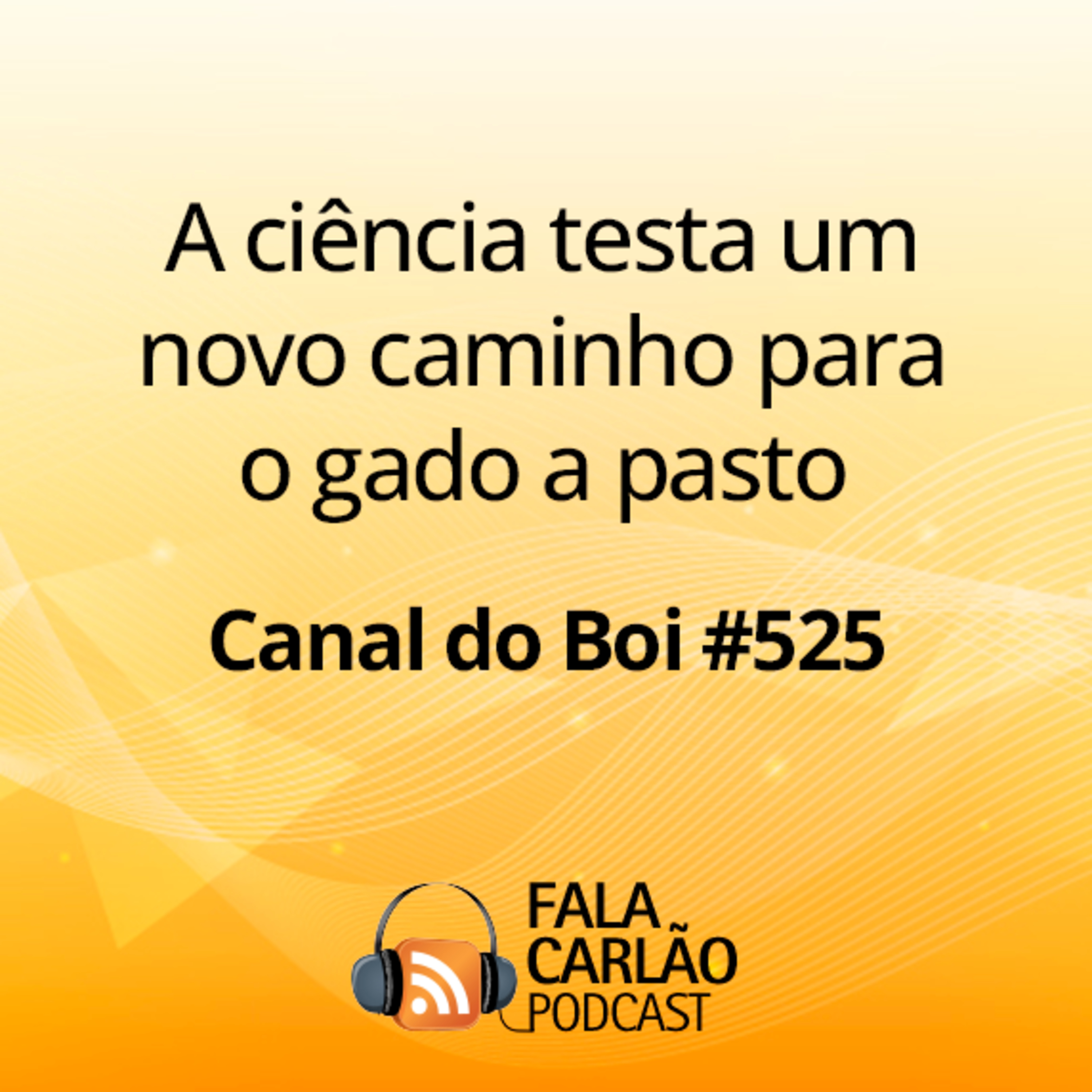A ciência testa um novo caminho para o gado a pasto | Canal do Boi #525 episode artwork