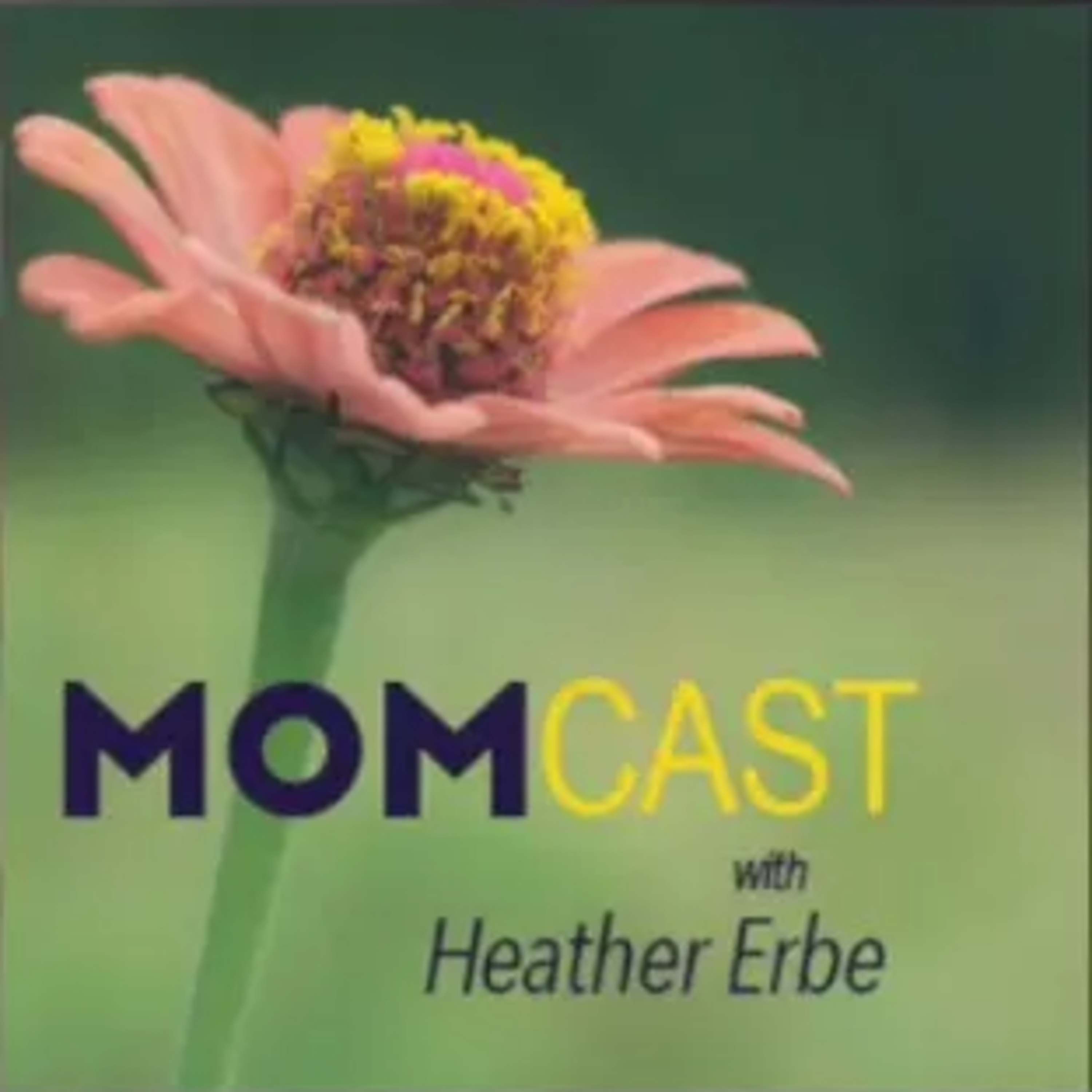 Momcast #39: Holiday Expectations