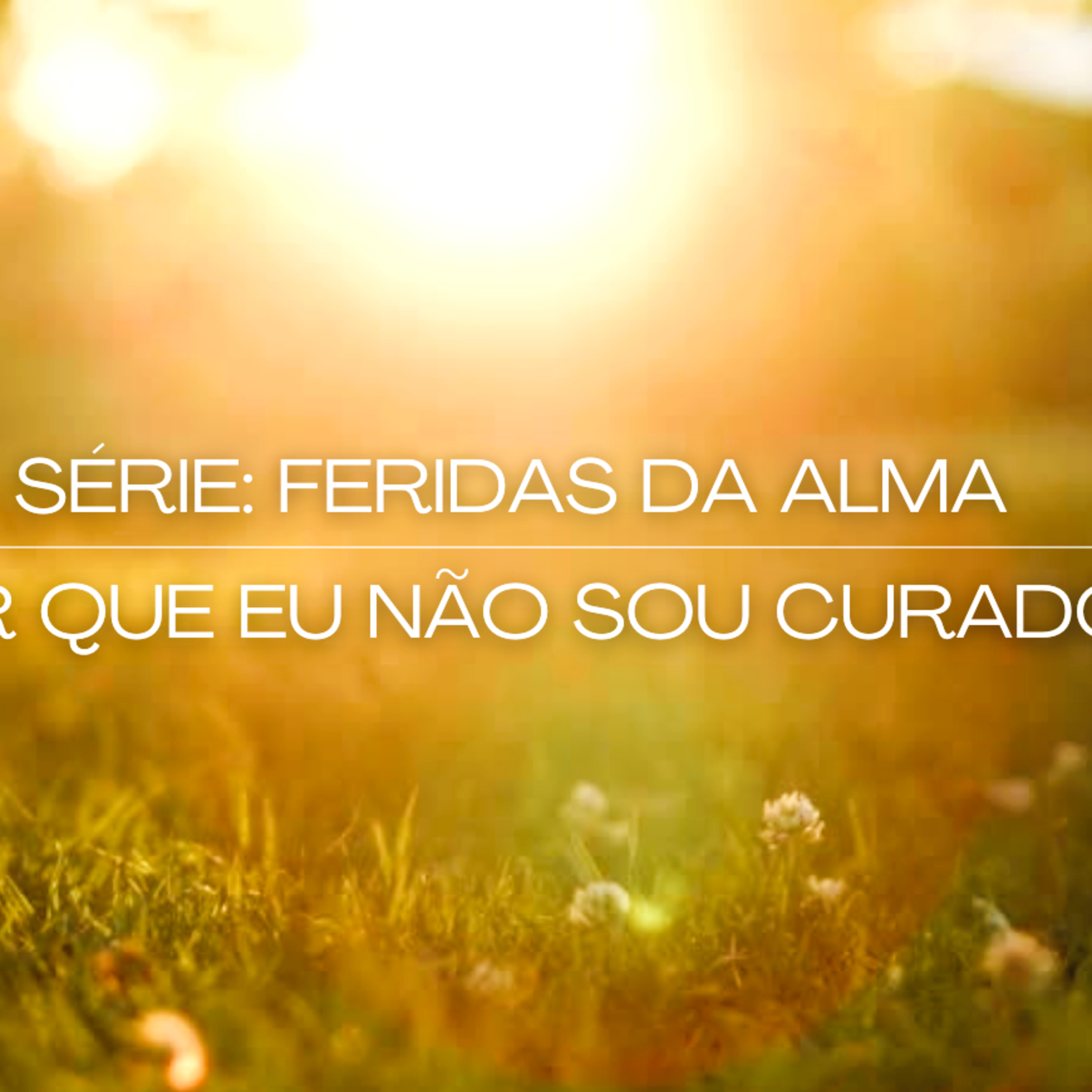 Daniel Martins Silva