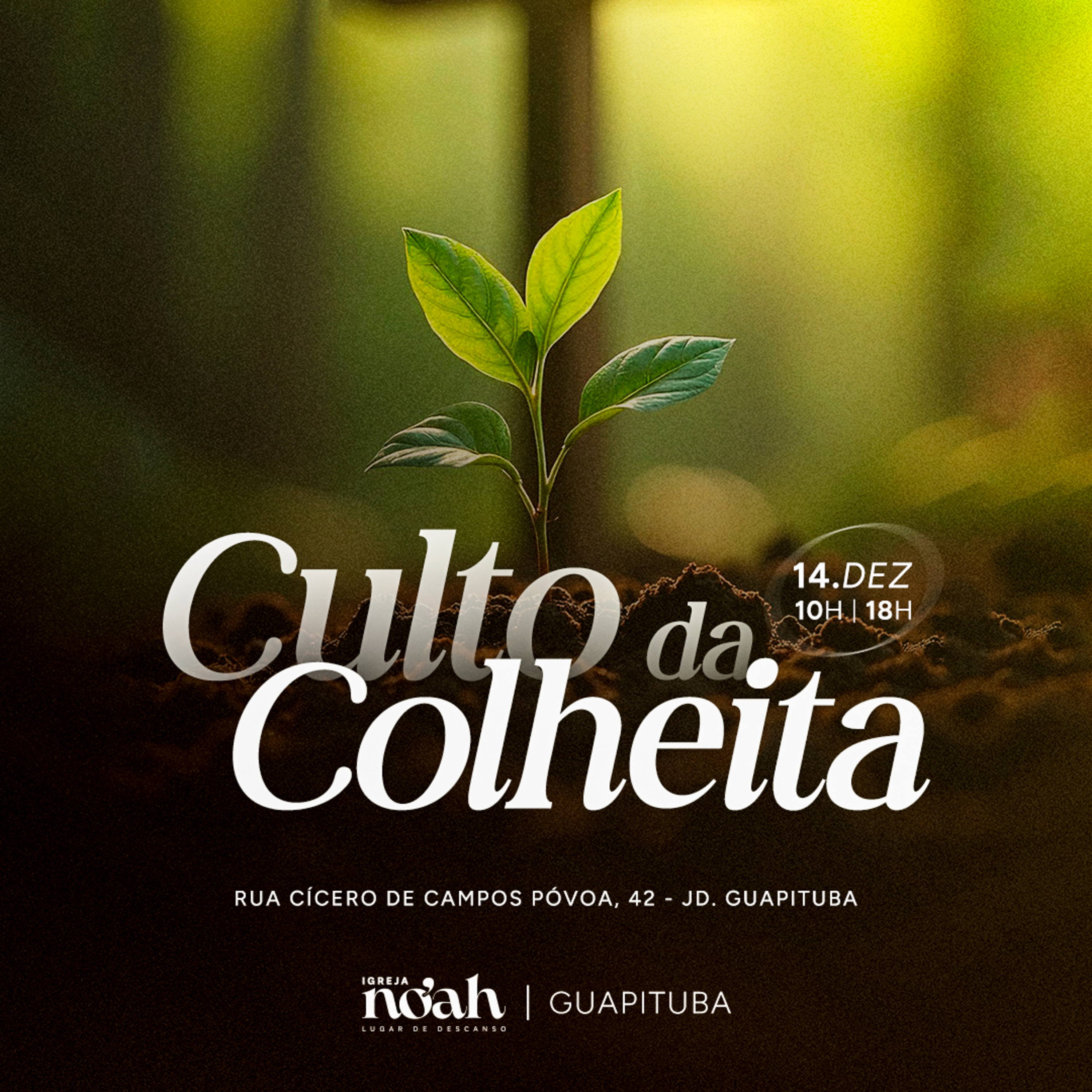 CULTO DA COLHEITA 2025 - PR BRUNO SIMÔES episode artwork