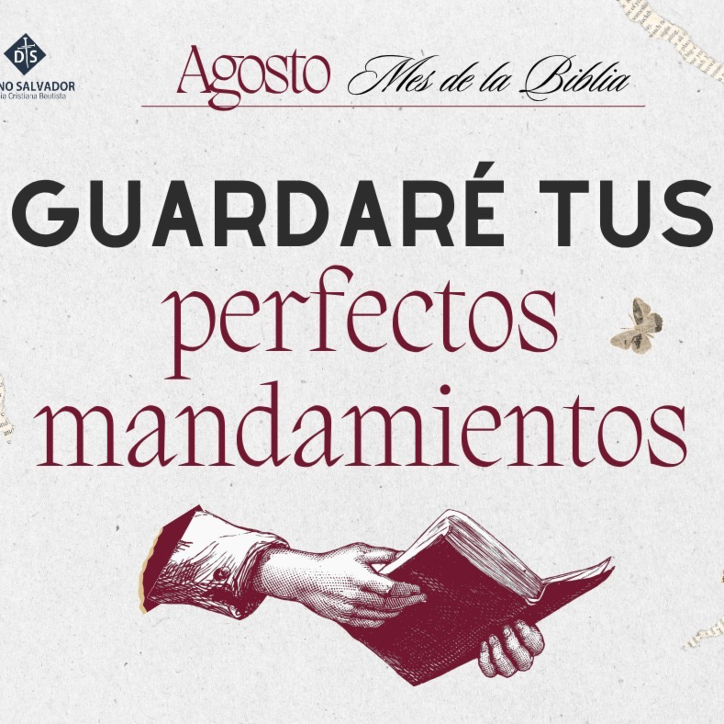 Guardaré tus perfectos Mandamientos (Sal. 119:1-8) episode artwork