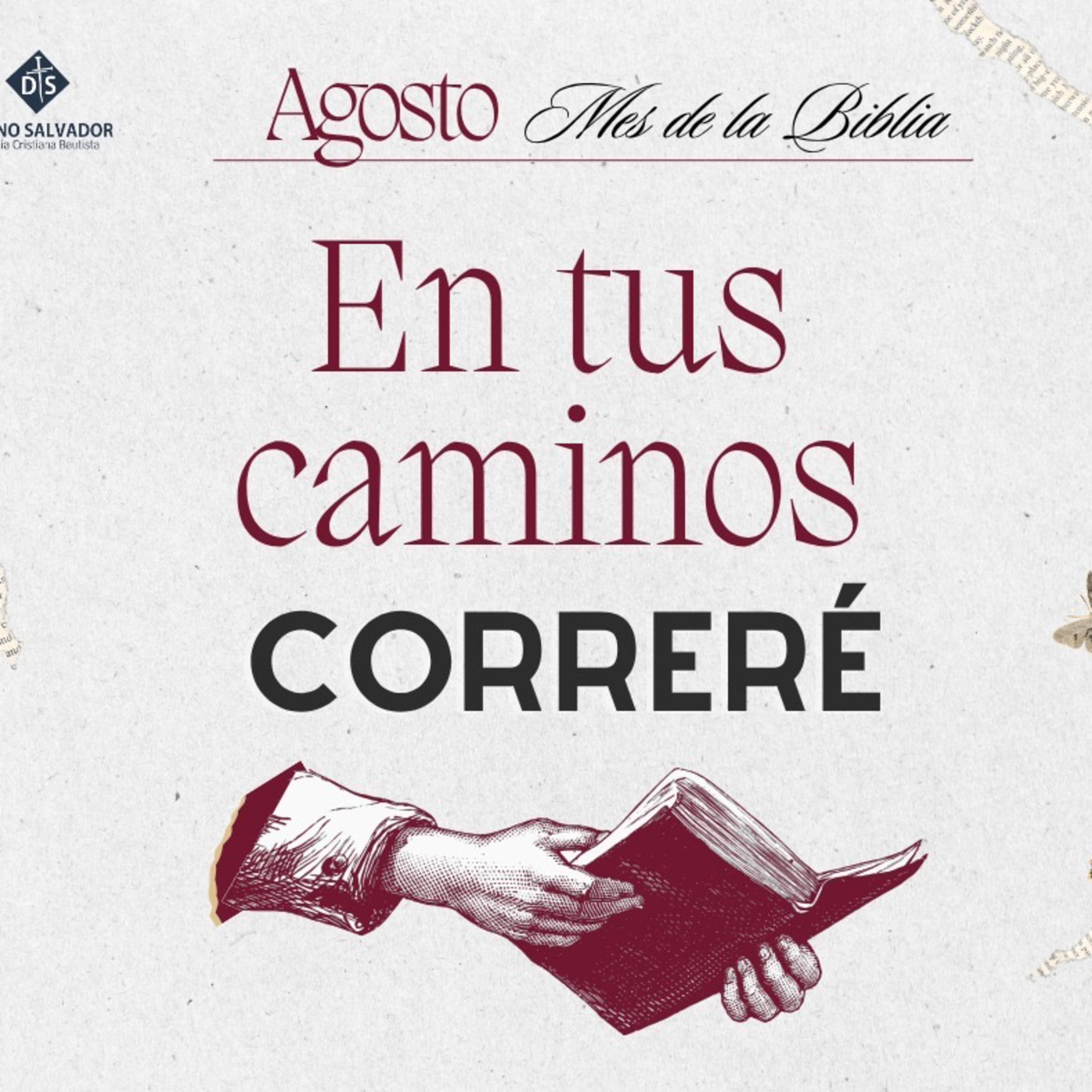 En tus Caminos correré (Sal. 119:25-32) episode artwork