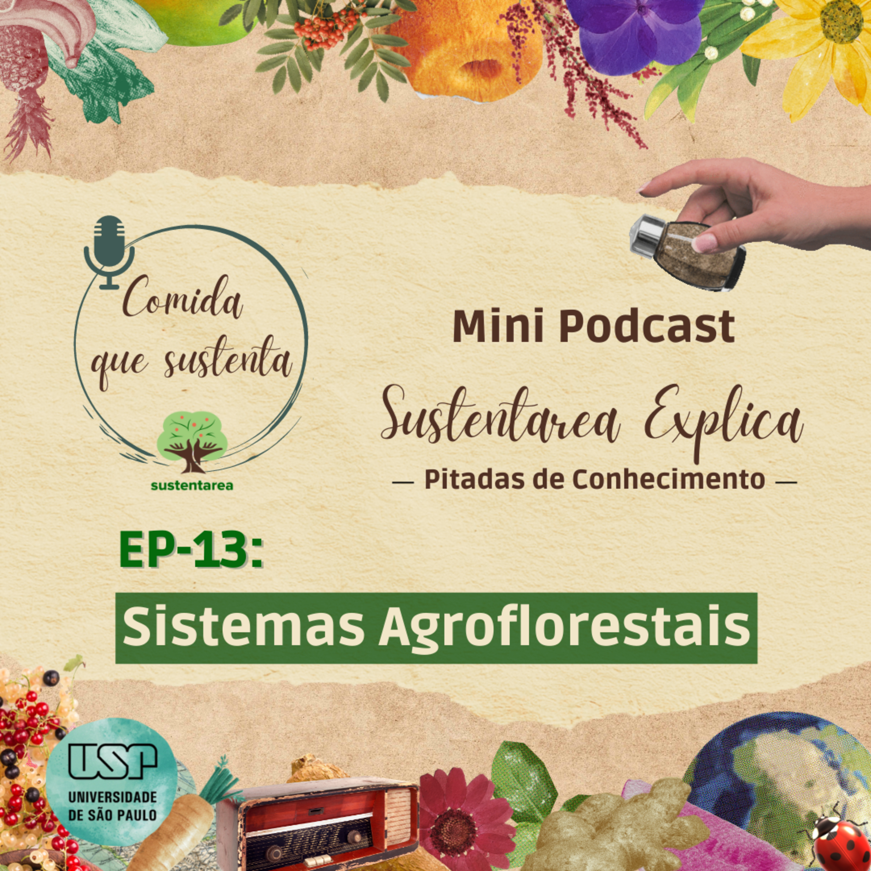 Comida que Sustenta