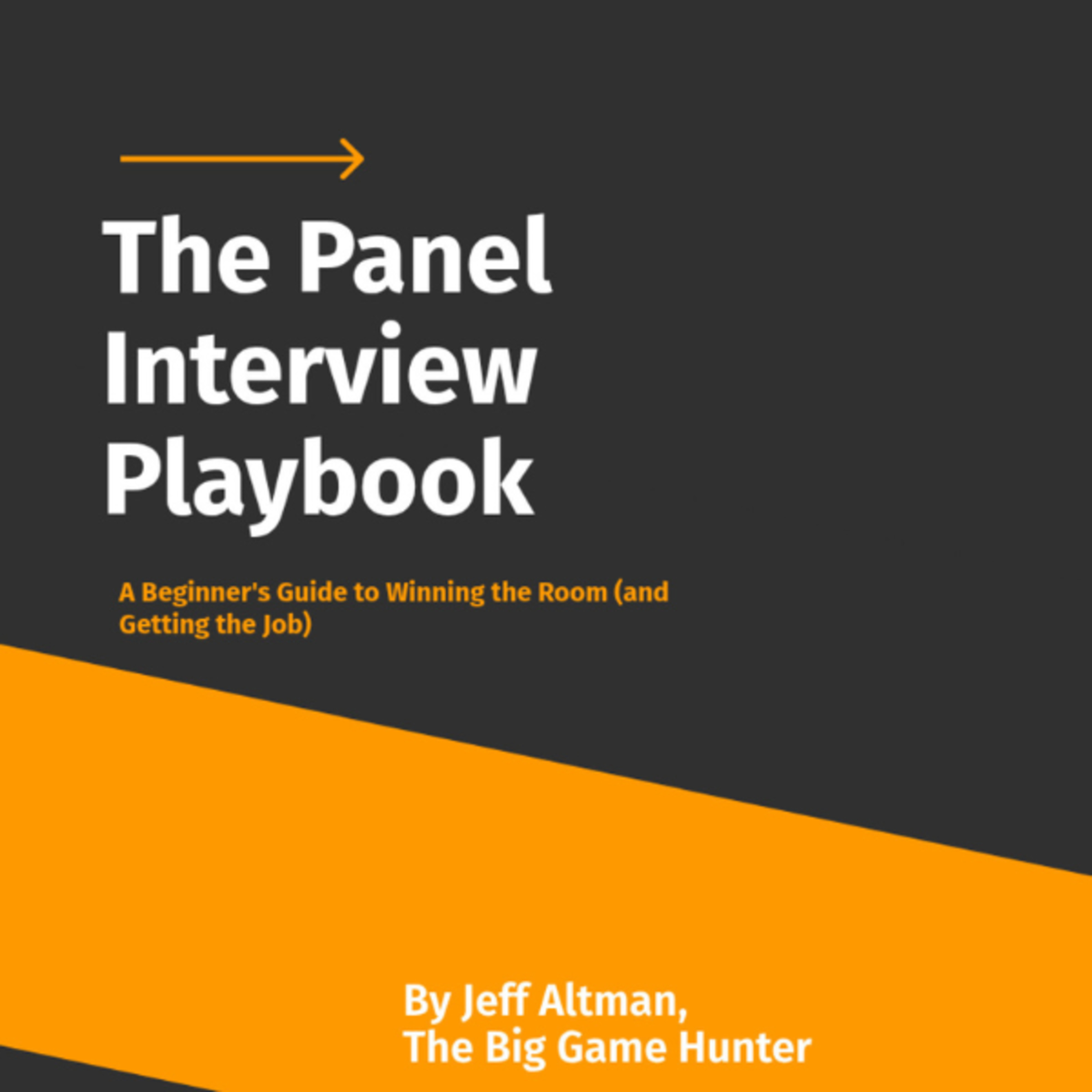 The Panel Interview Playbook Available for $.99 until Saturday