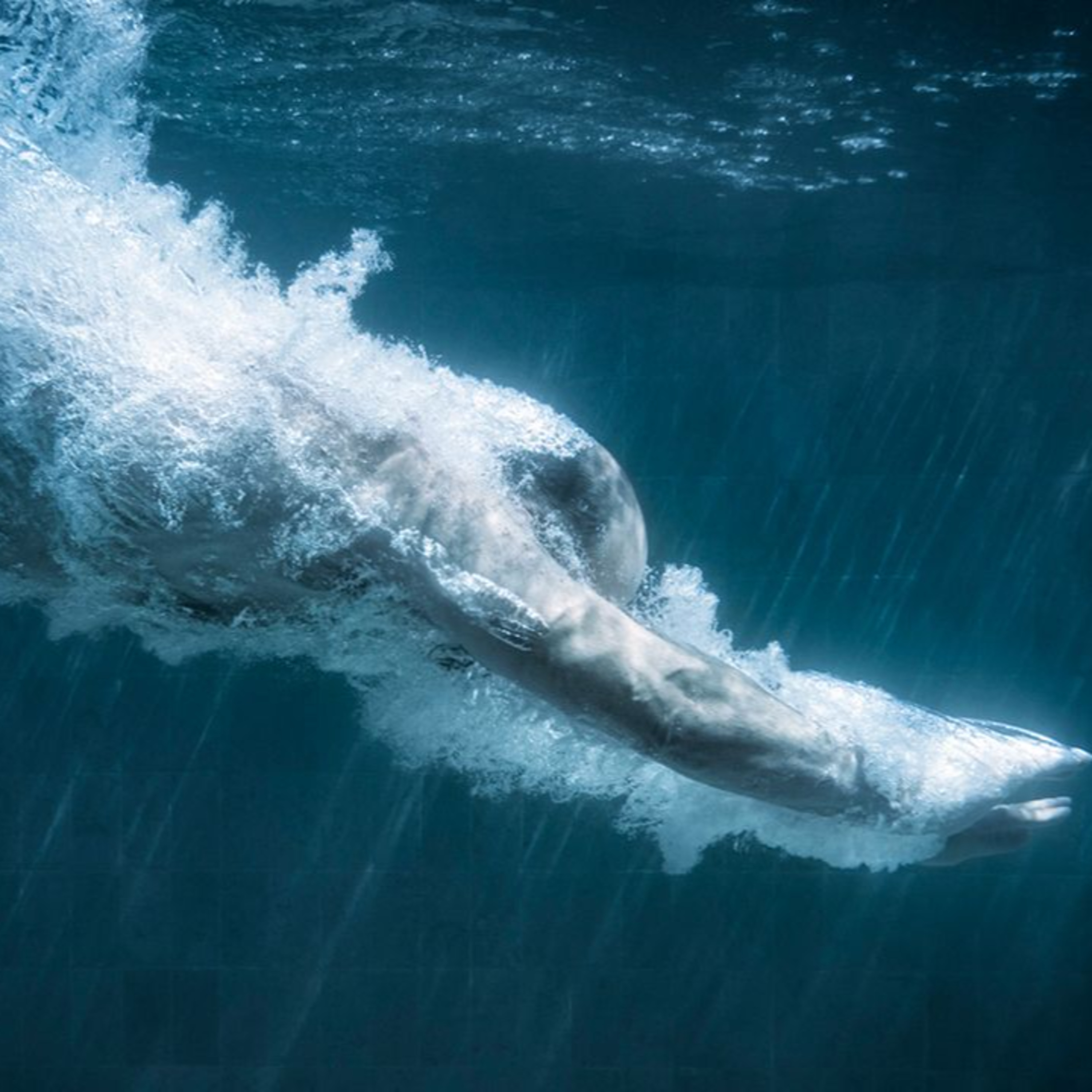 EP.111- DEEP DIVE!!