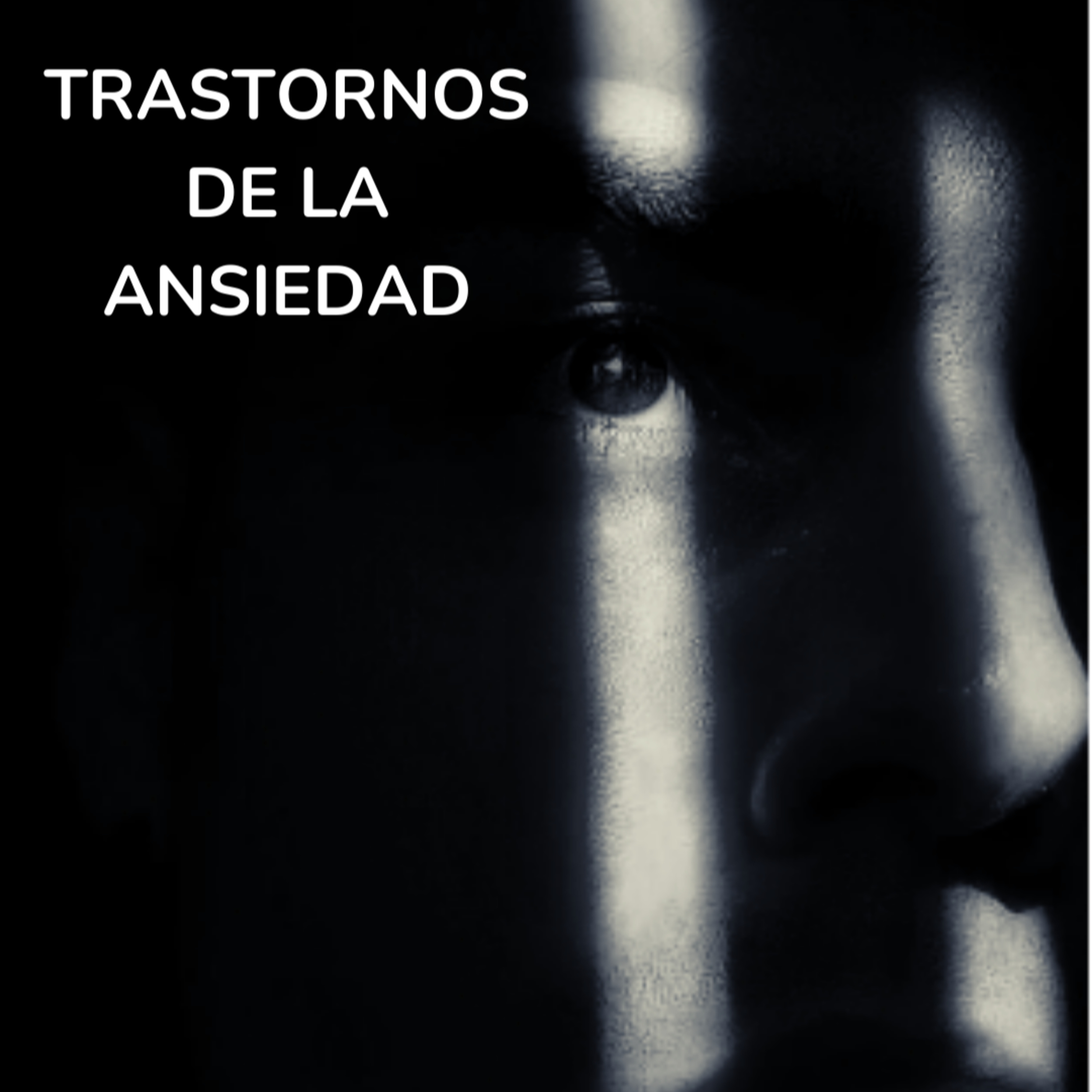T1E20 TRASTORNOS DE LA ANSIEDAD  episode artwork
