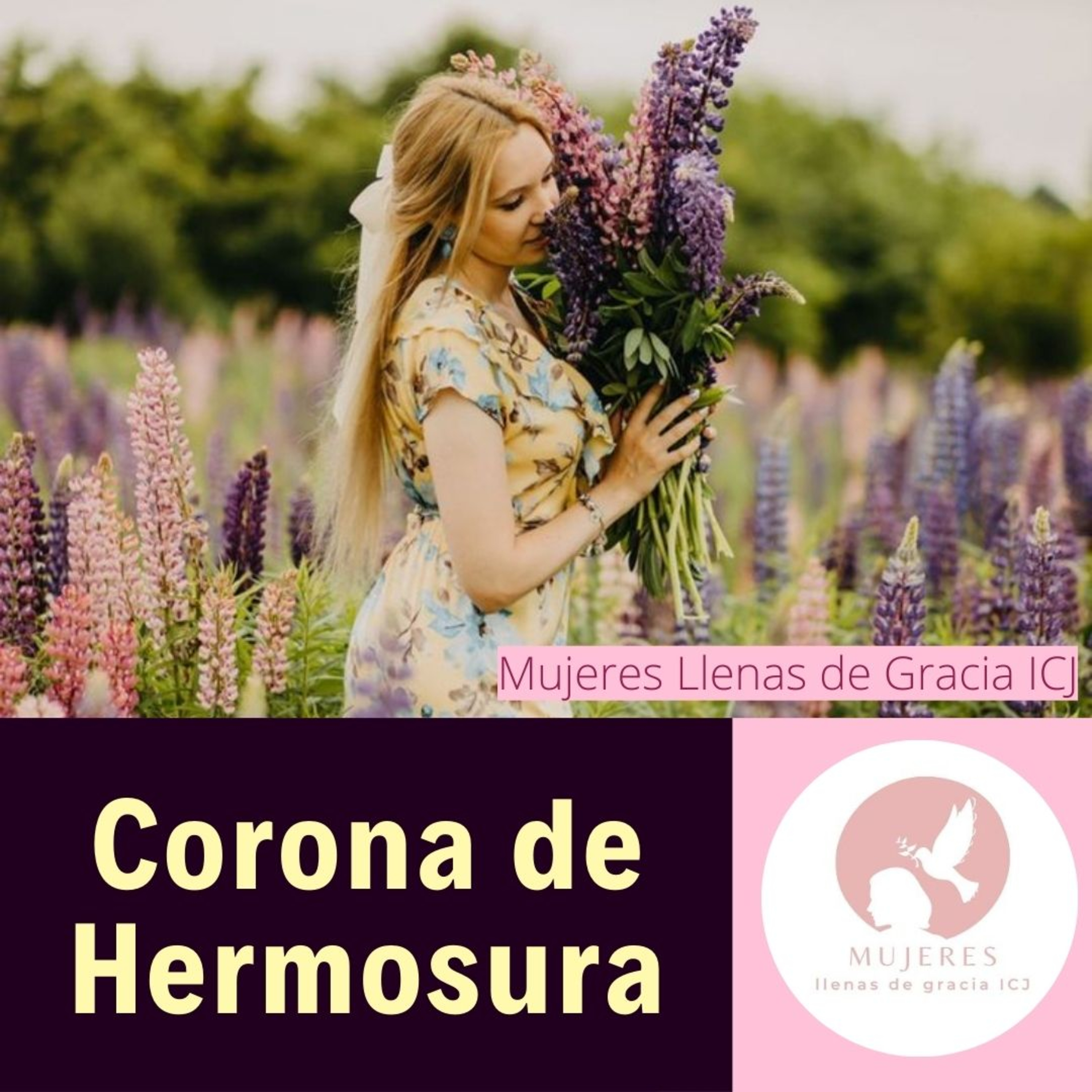 Corona de Hermosura / Vida Diaria episode artwork