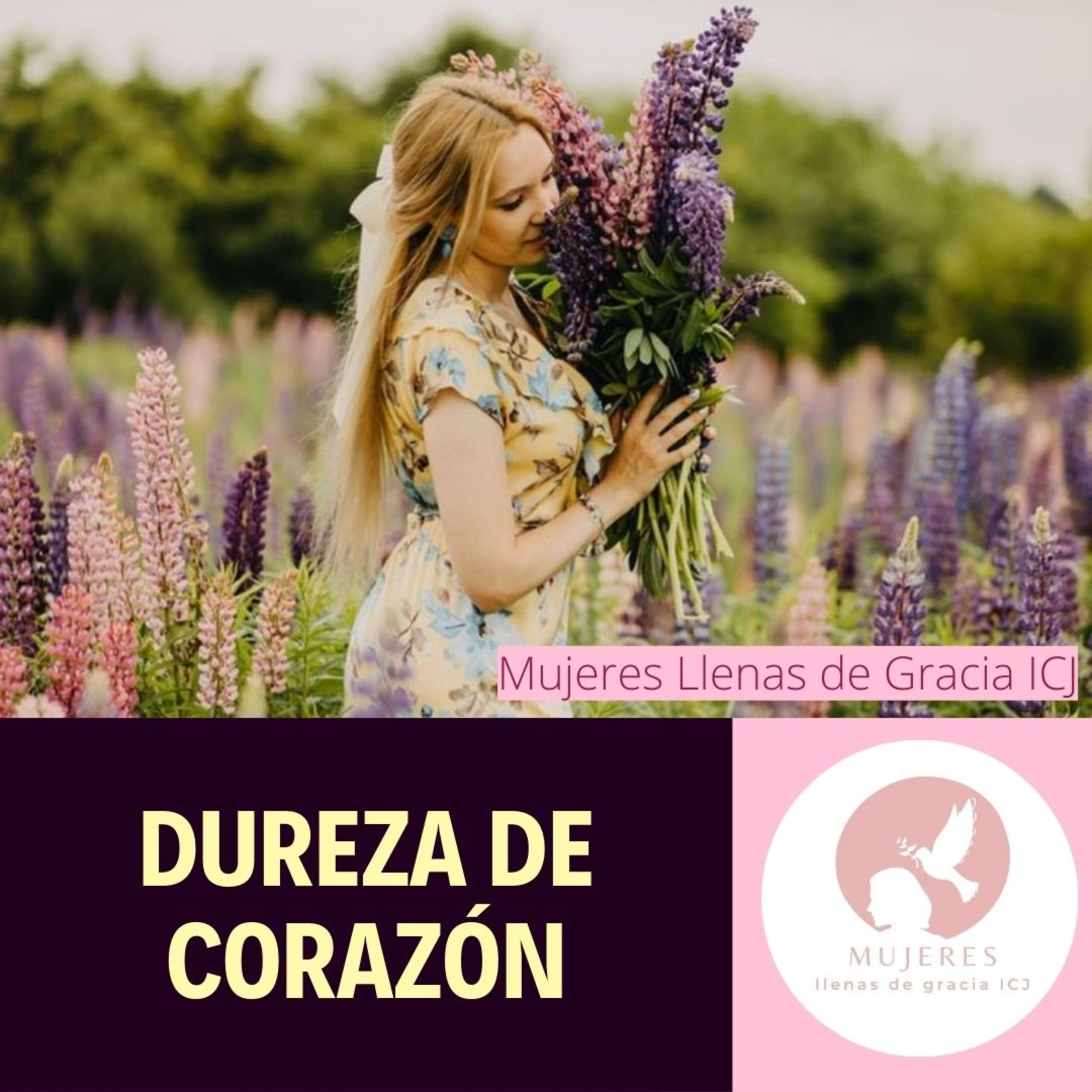 Dureza de Corazón / Vida Diaria episode artwork