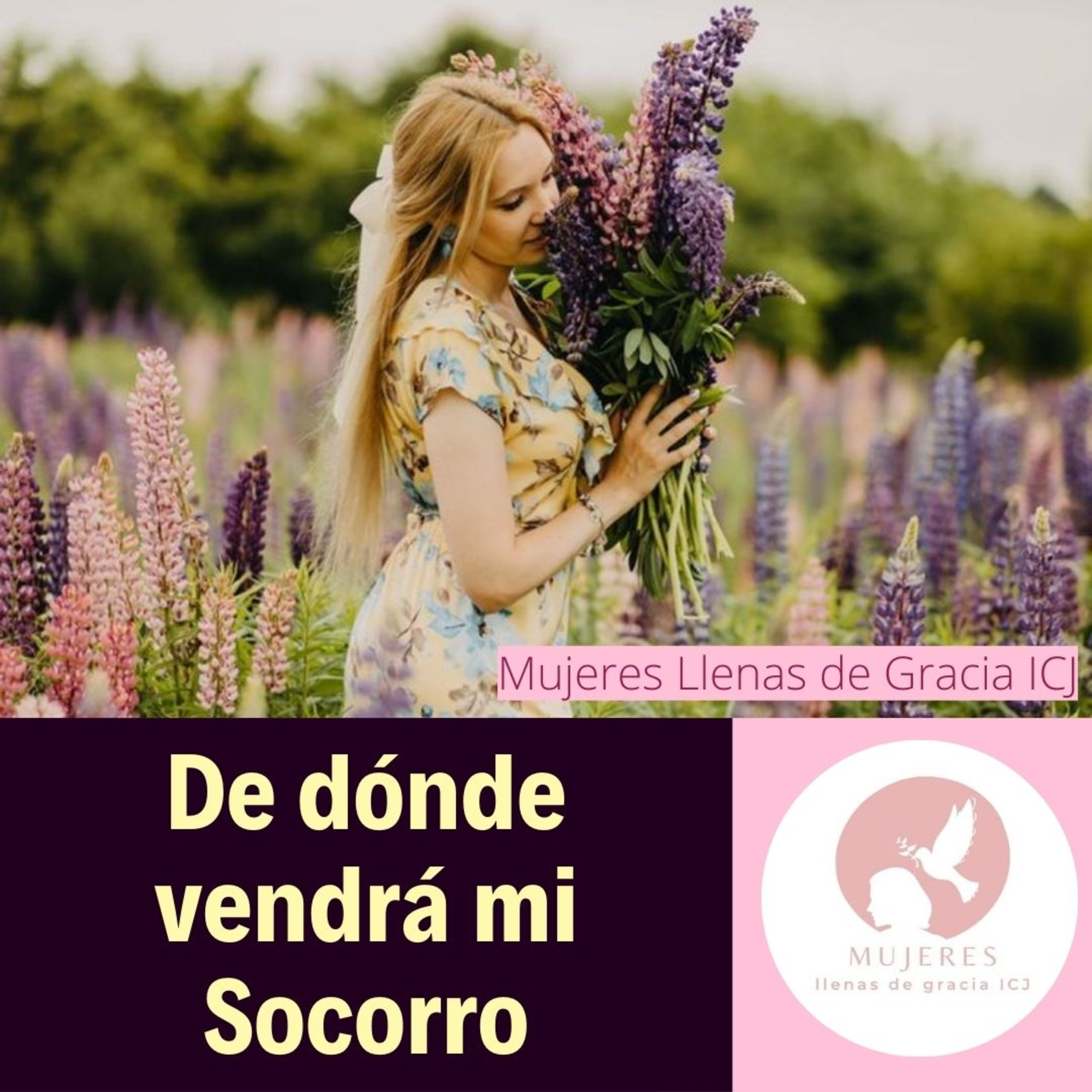 De dónde vendrá mi Socorro? / Vida Diaria episode artwork