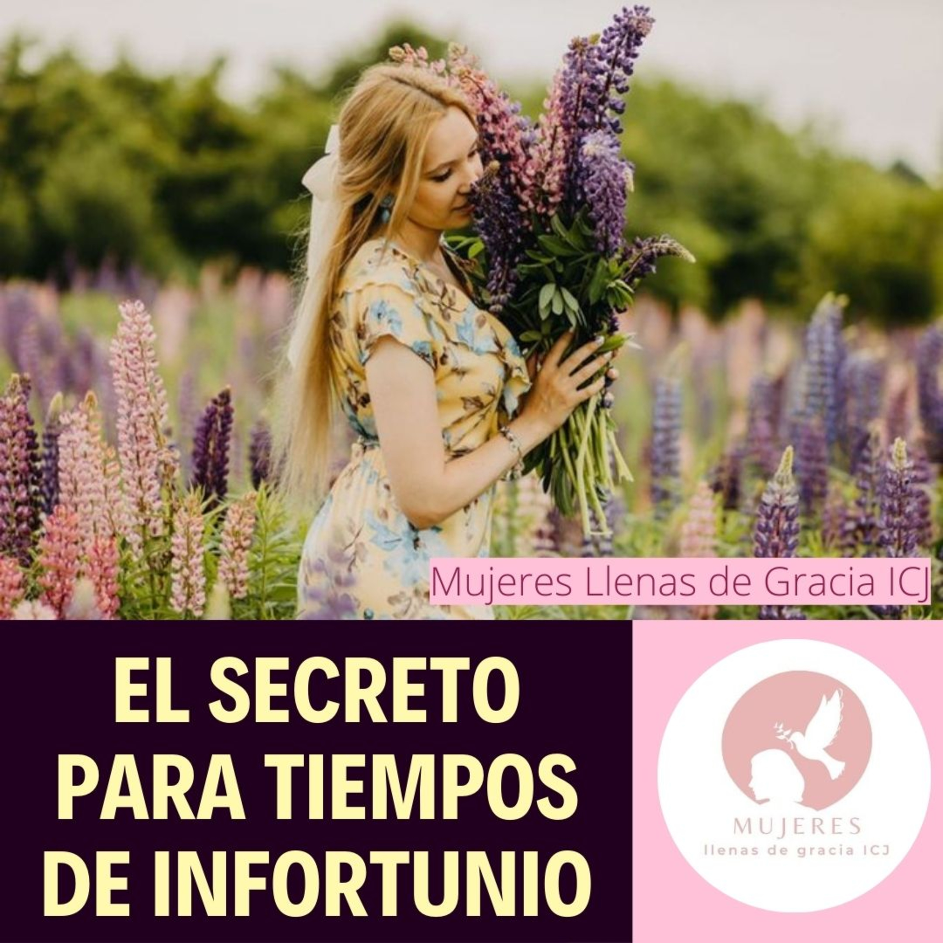EL SECRETO PARA TIEMPOS DE INFORTUNIO / Vida Diaria episode artwork