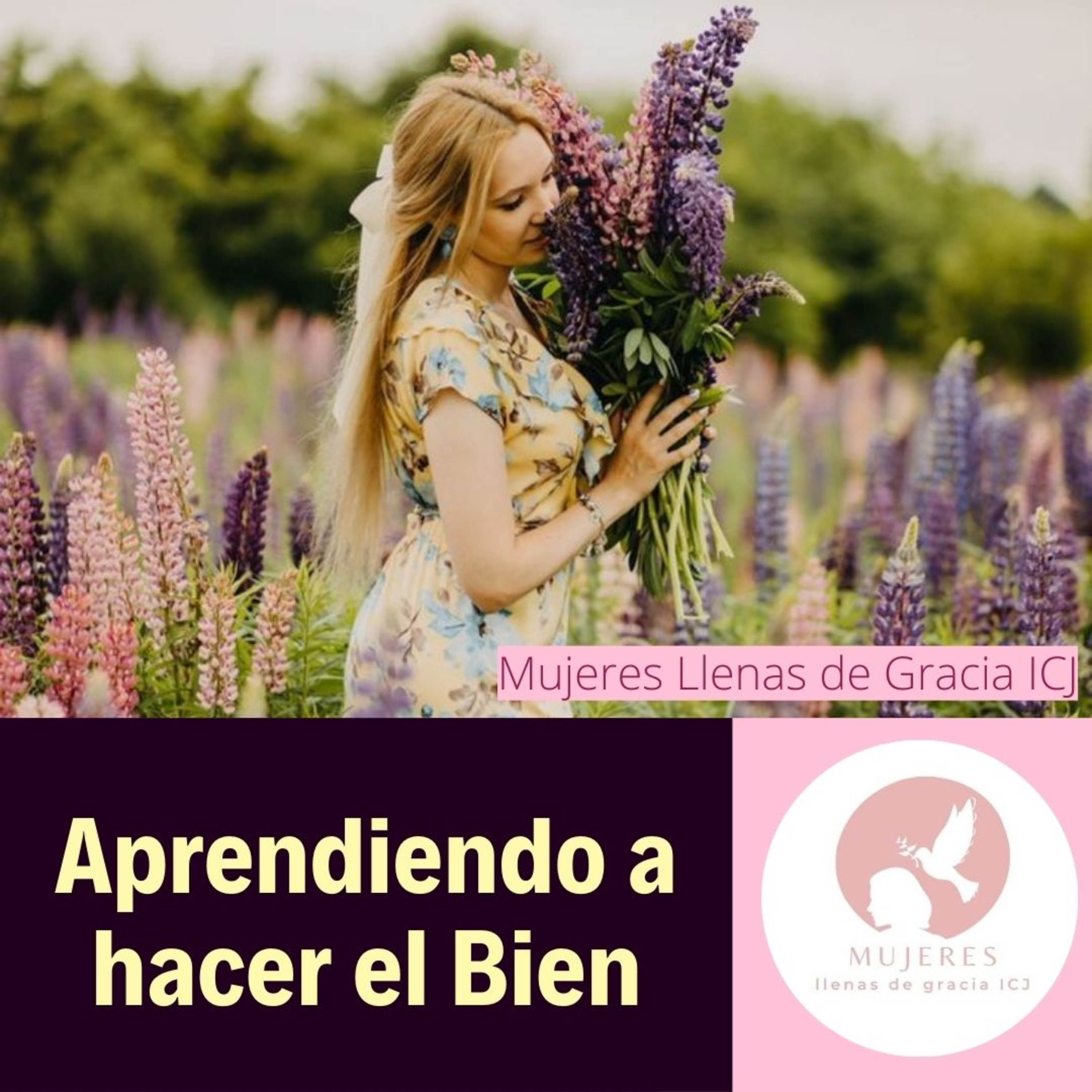 APRENDIENDO A HACER EL BIEN./ Vida Diaria episode artwork