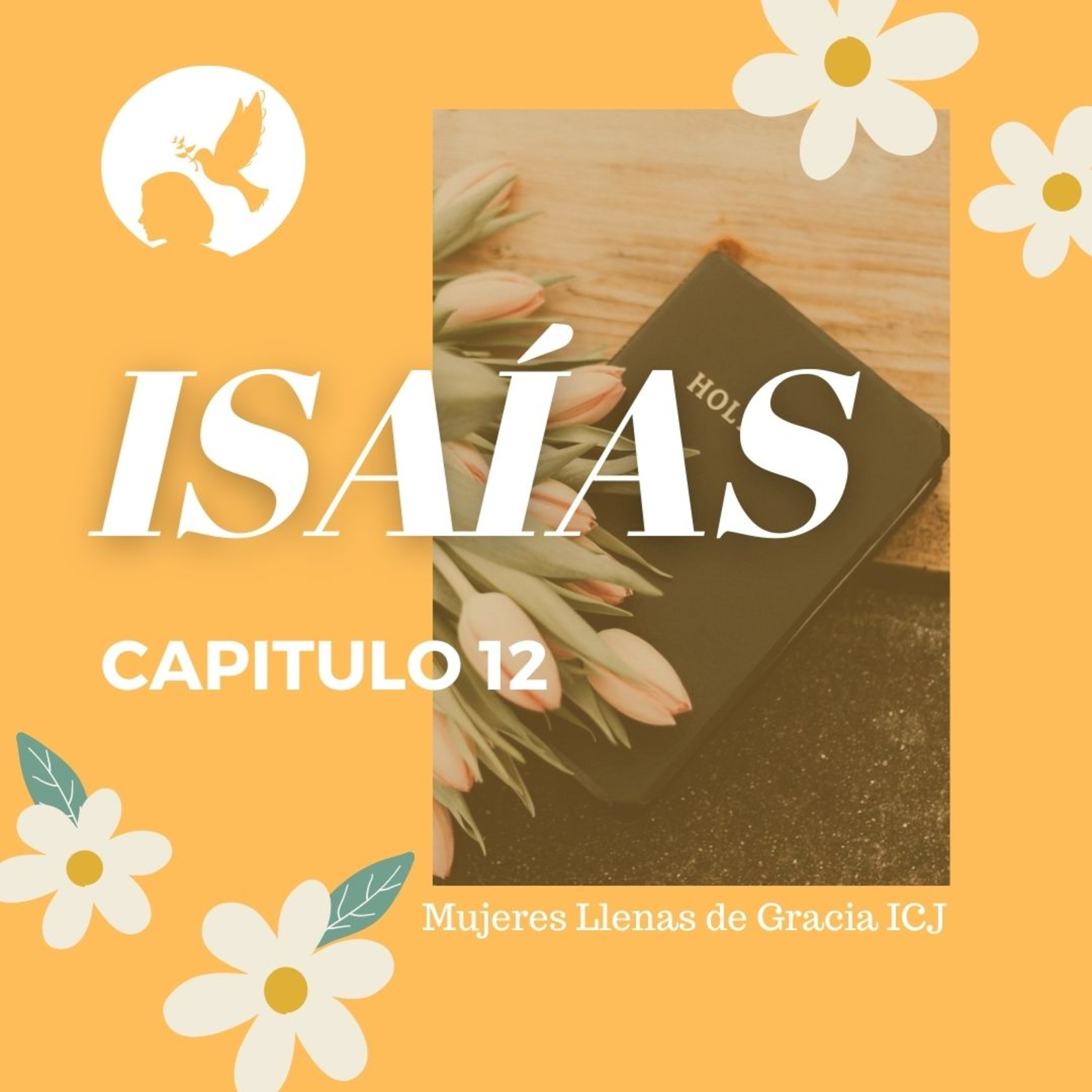 Isaías, Capítulo 12 episode artwork