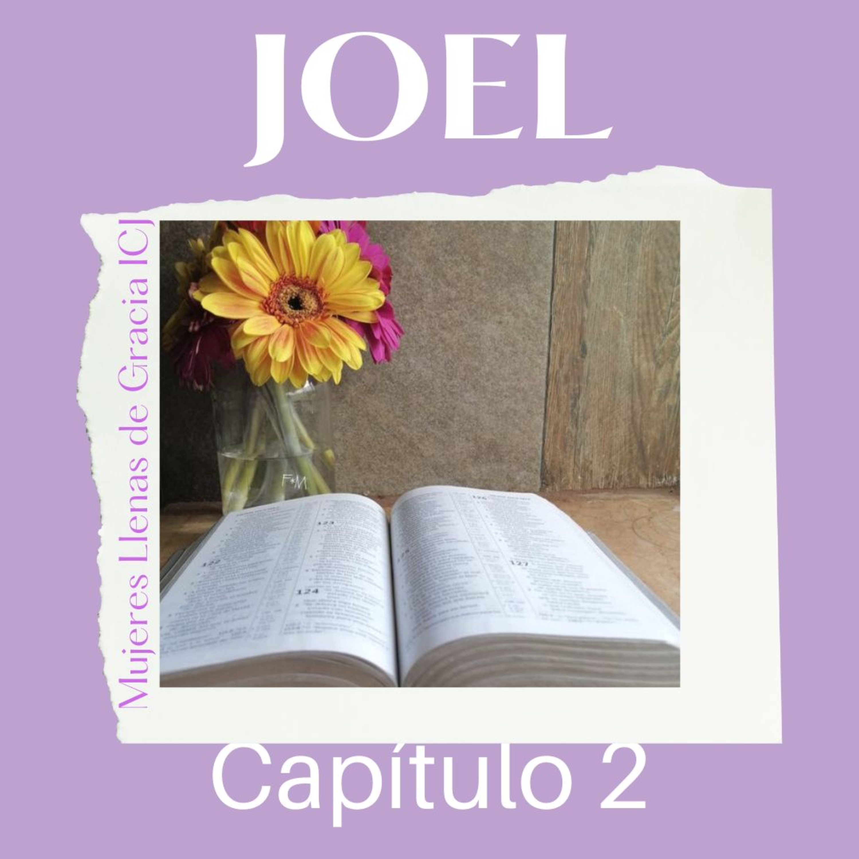 Joel, Capítulo 2 episode artwork