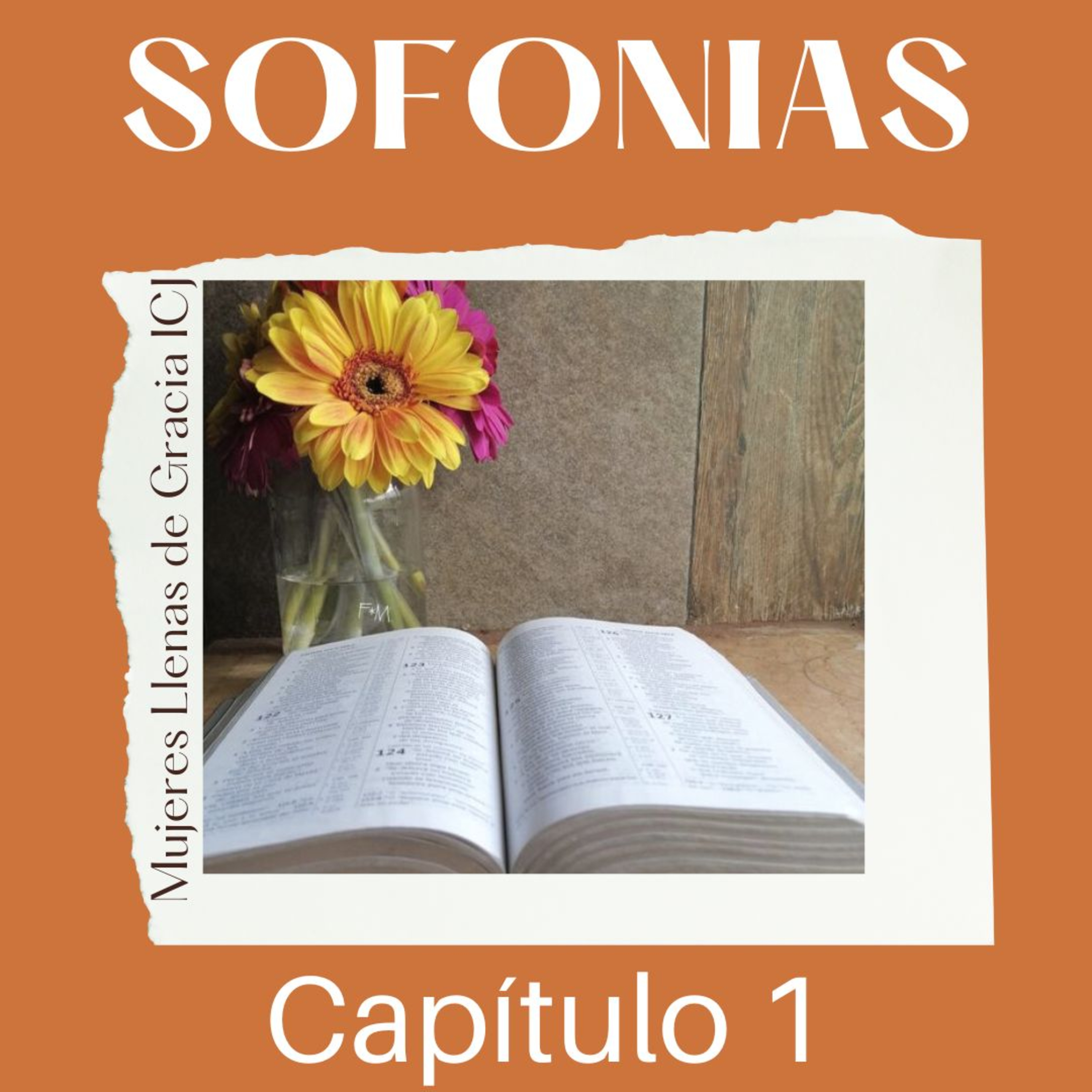 Sofonías, Capítulo 1 episode artwork