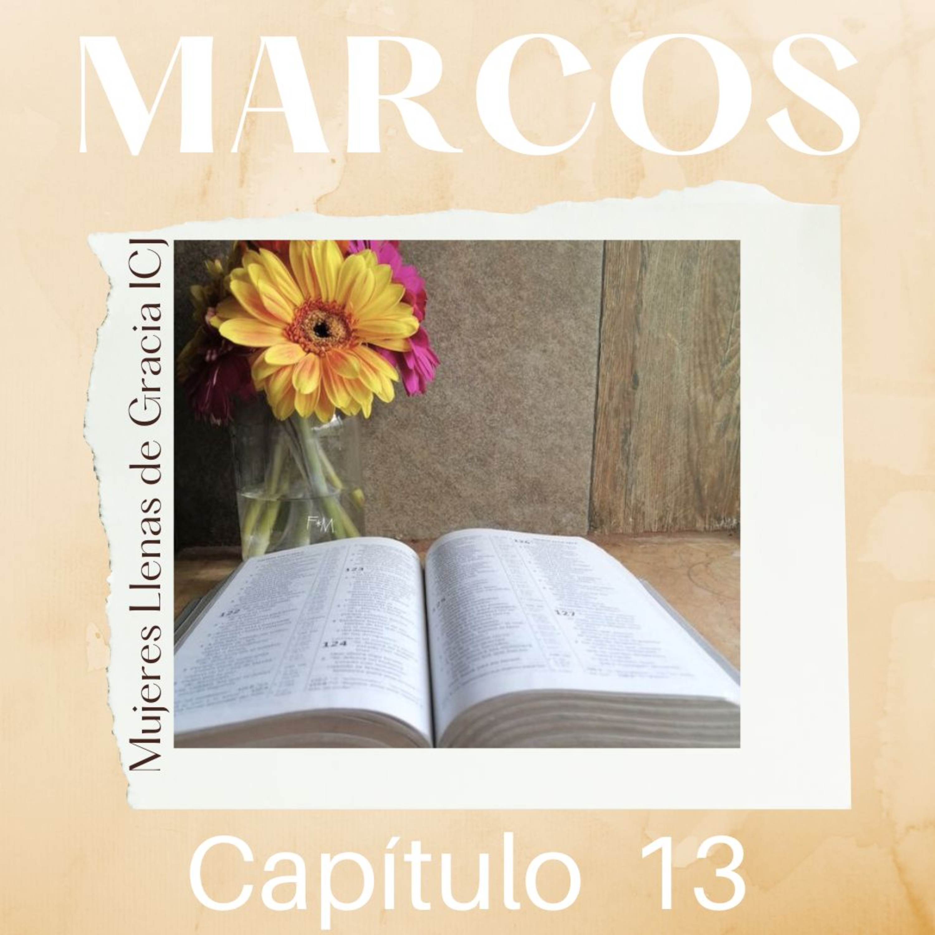 Marcos, Capítulo 13 episode artwork
