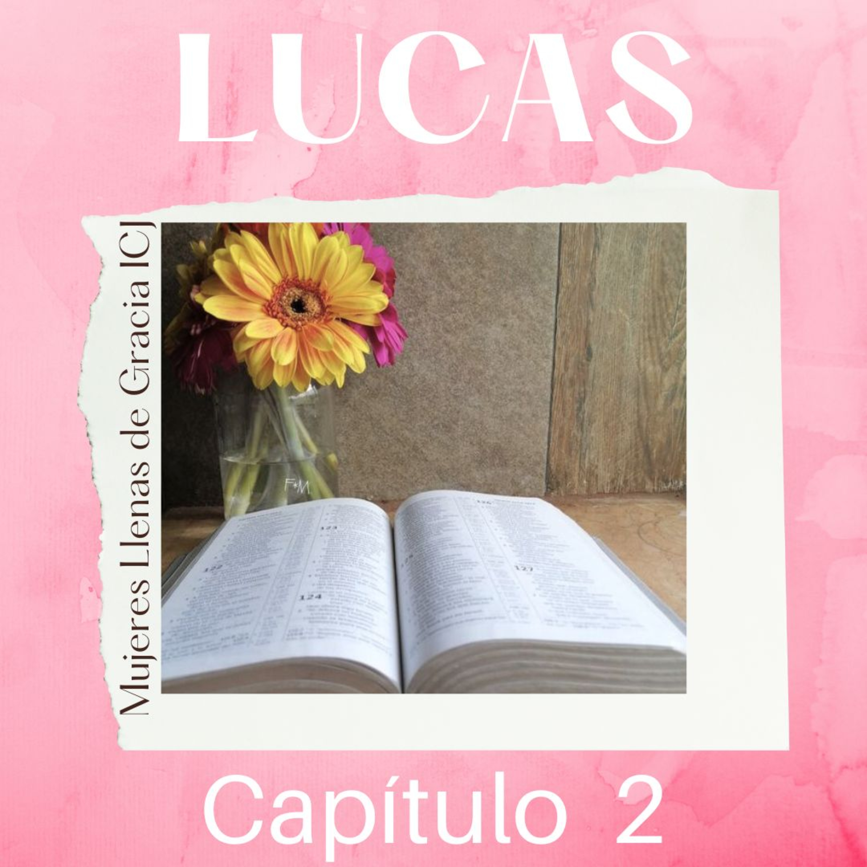 Lucas, Capítulo 02 episode artwork