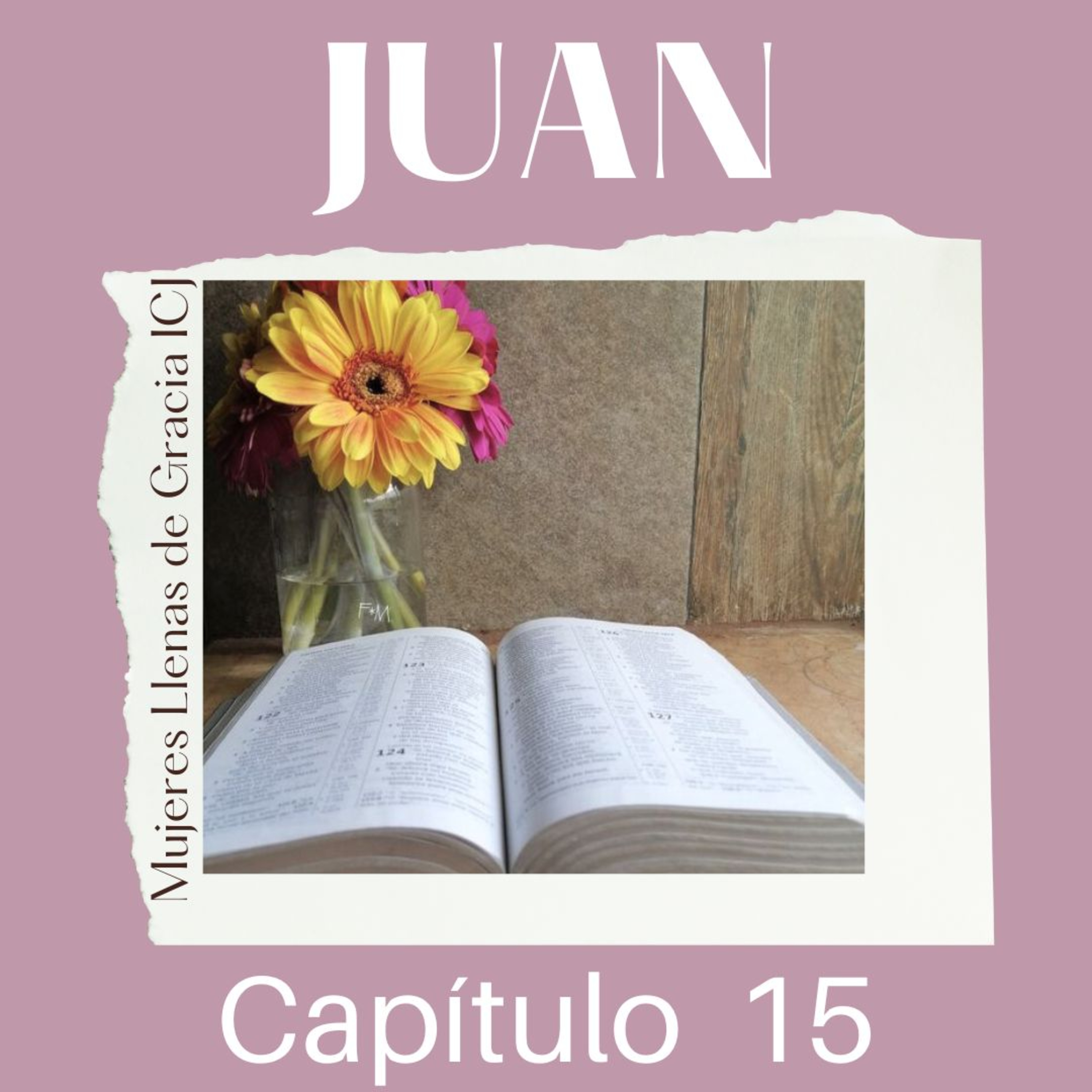 Juan, Capítulo 15 episode artwork