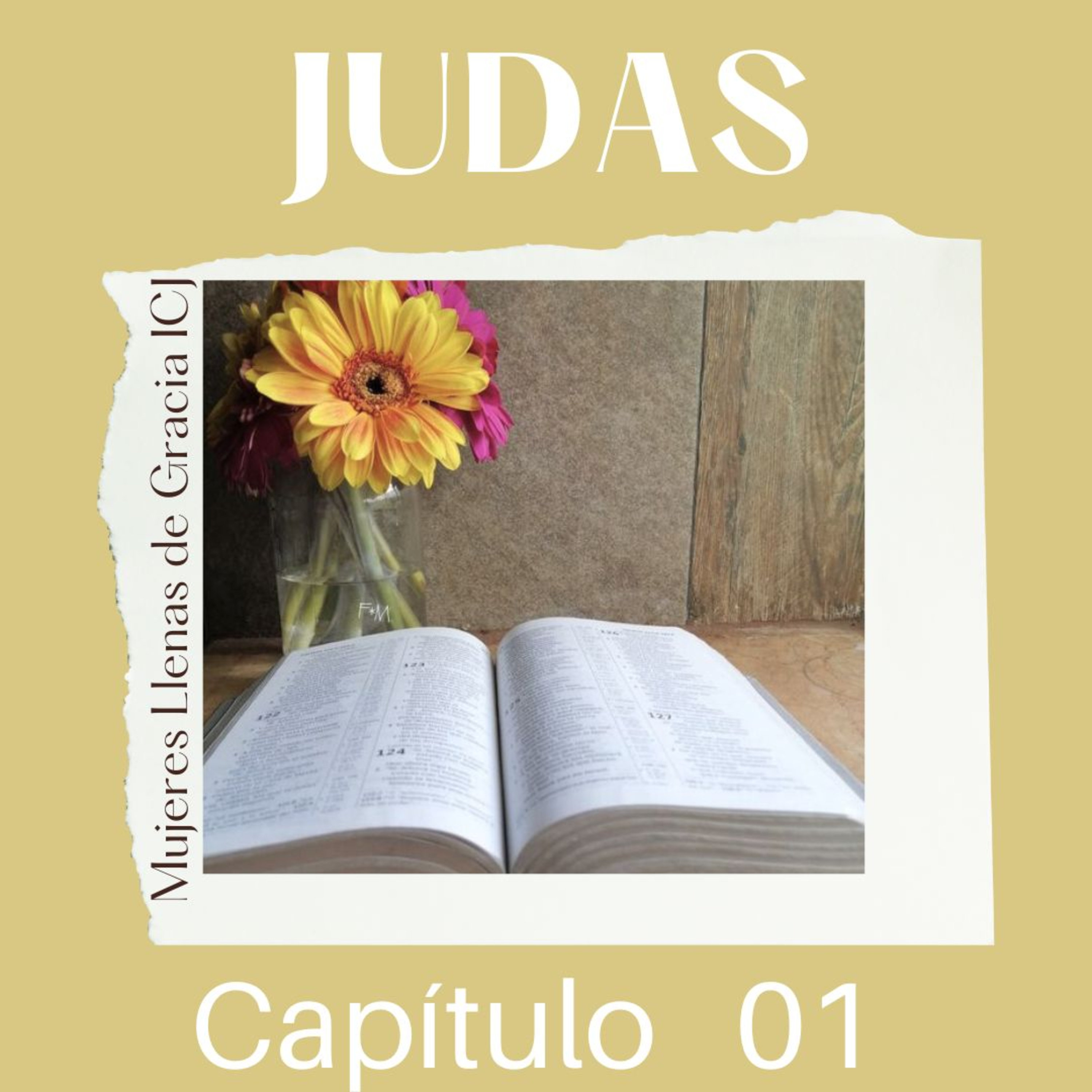 Mujeres llenas de gracia ICJ