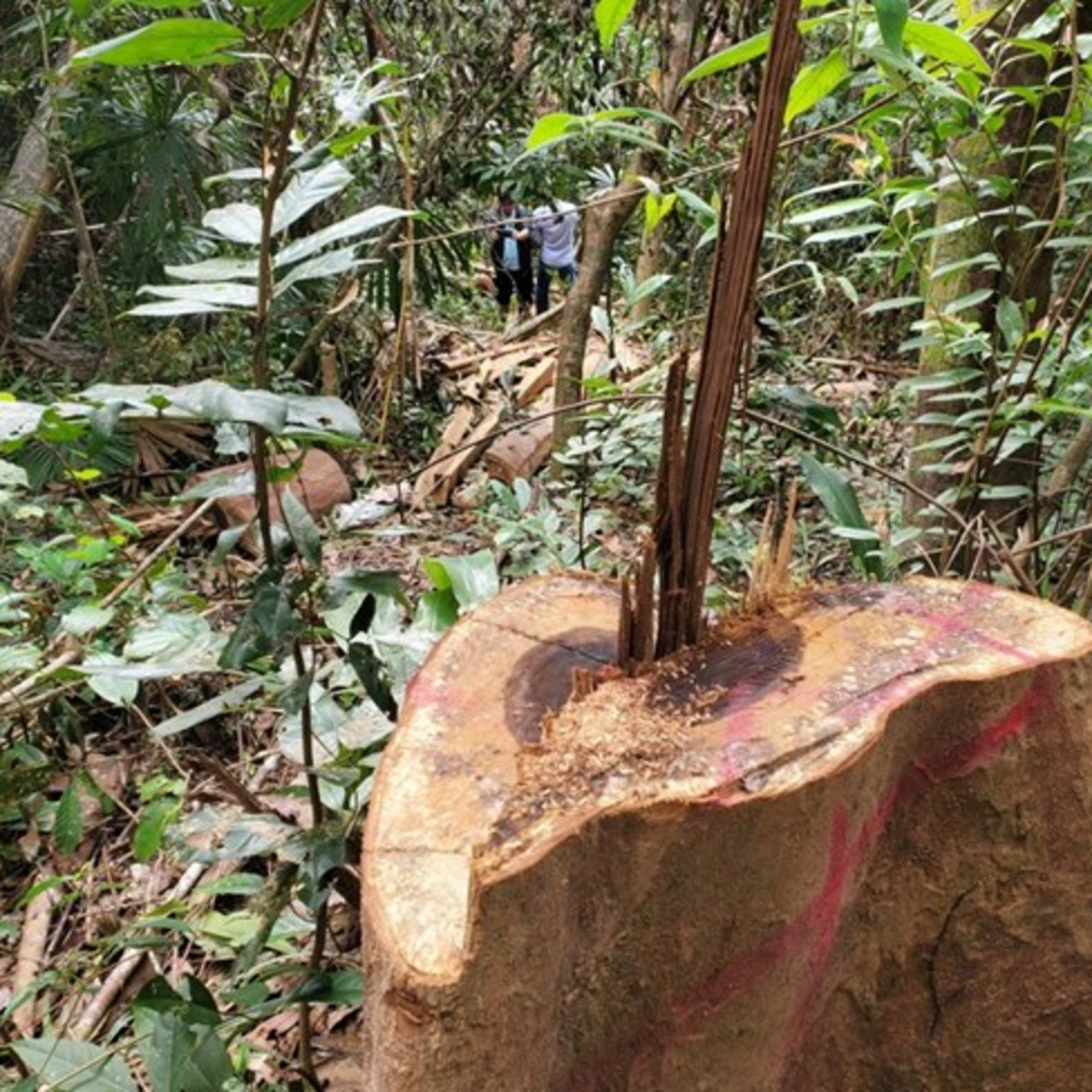 Thời sự 12h (28/3/2023)