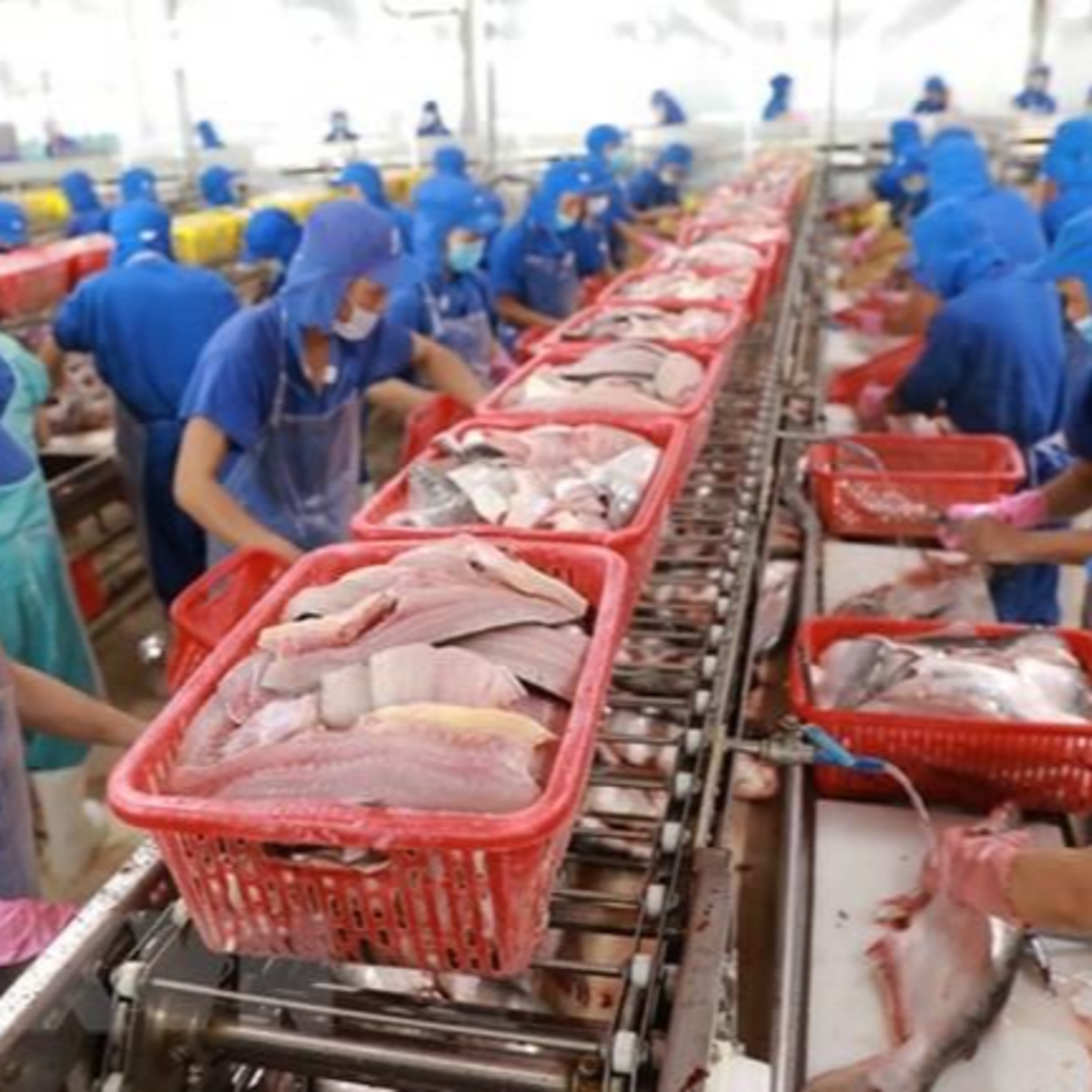 Thời sự 18h (7/4/2023)