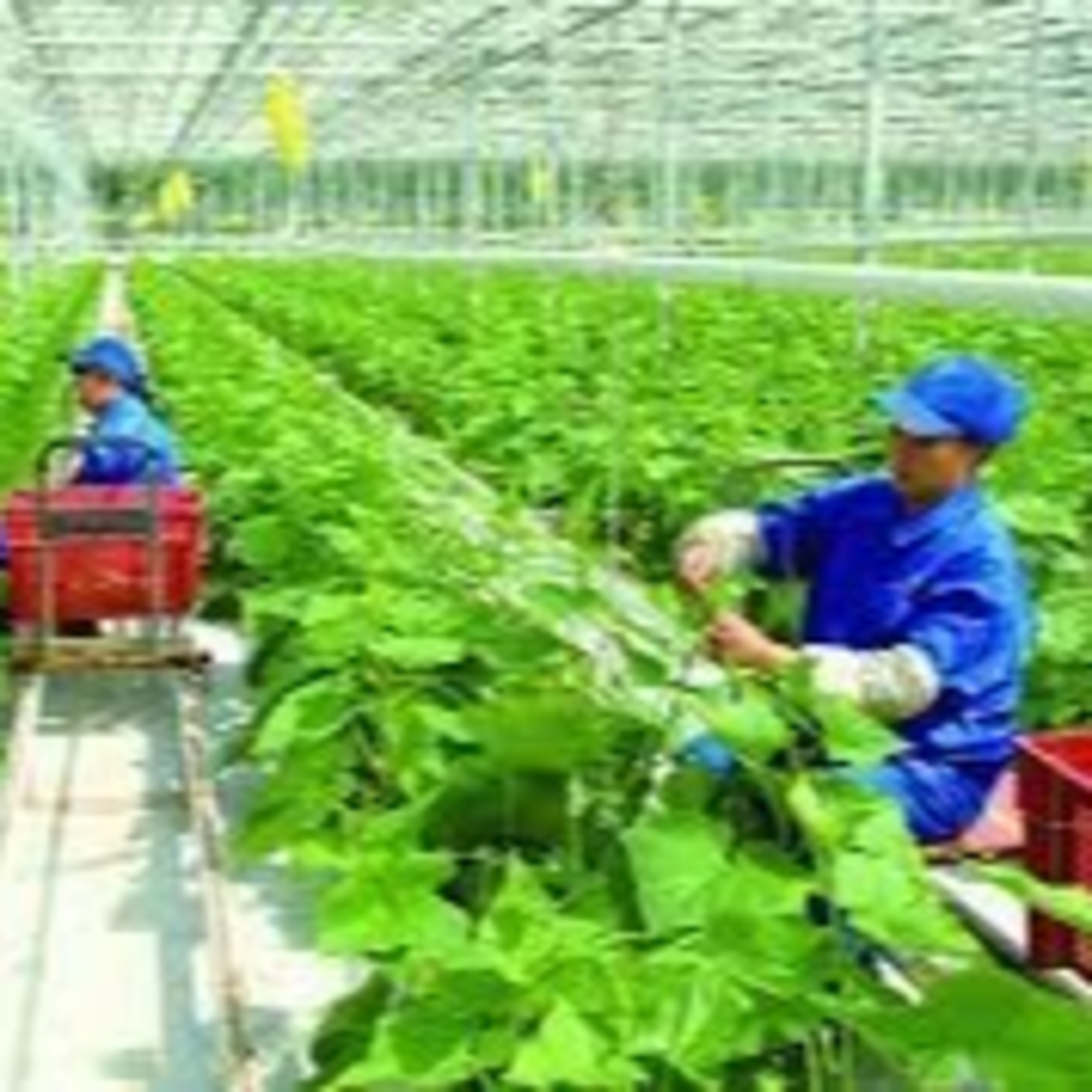 Thời sự 18h (14/4/2023)