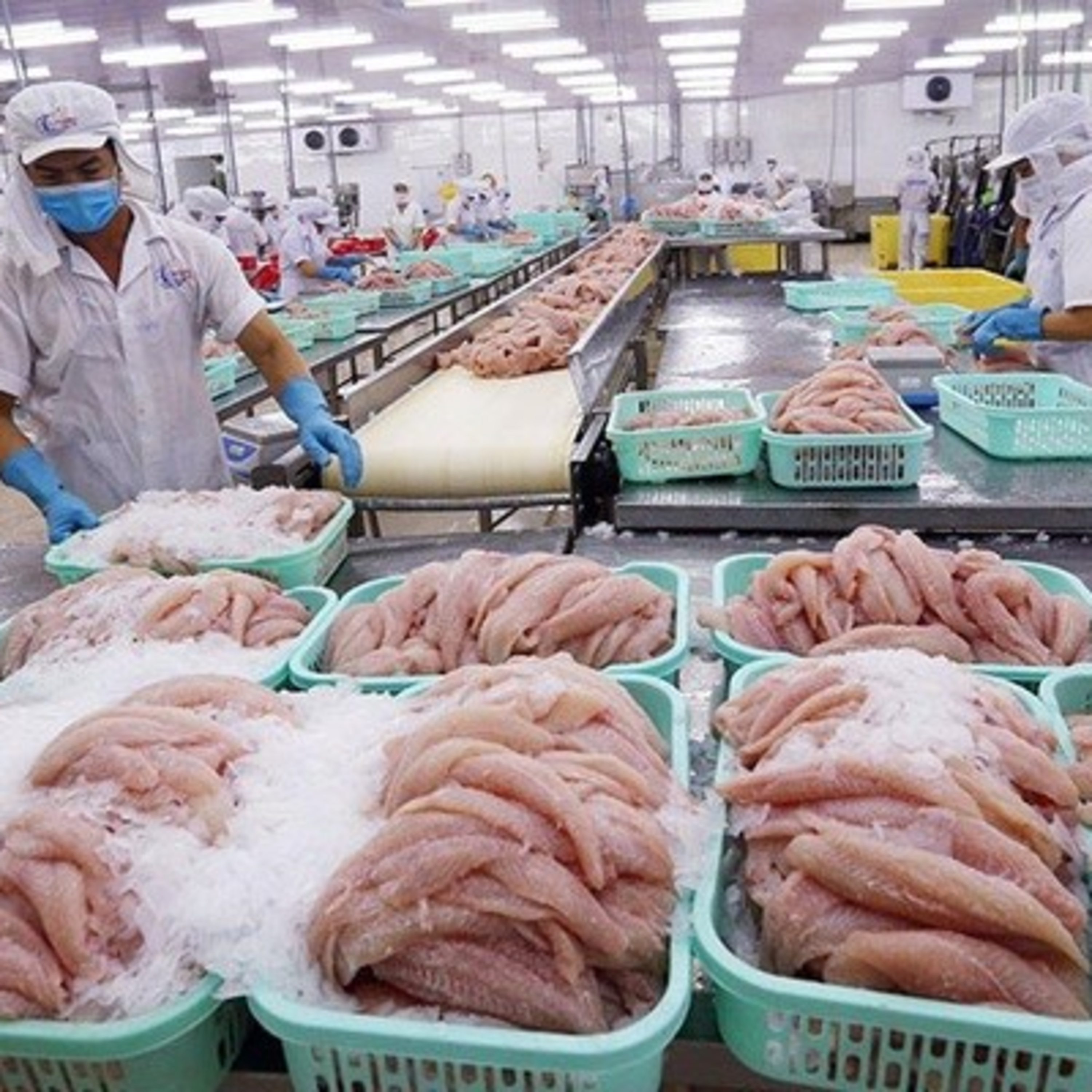 Thời sự 18h (12/6/2023)