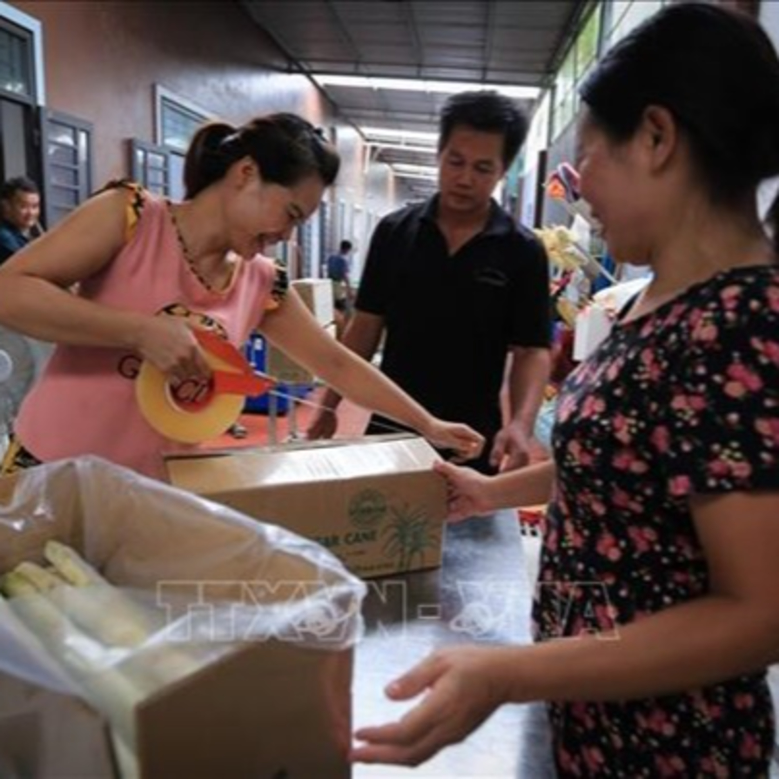 Thời sự 6h (26/8/2020)