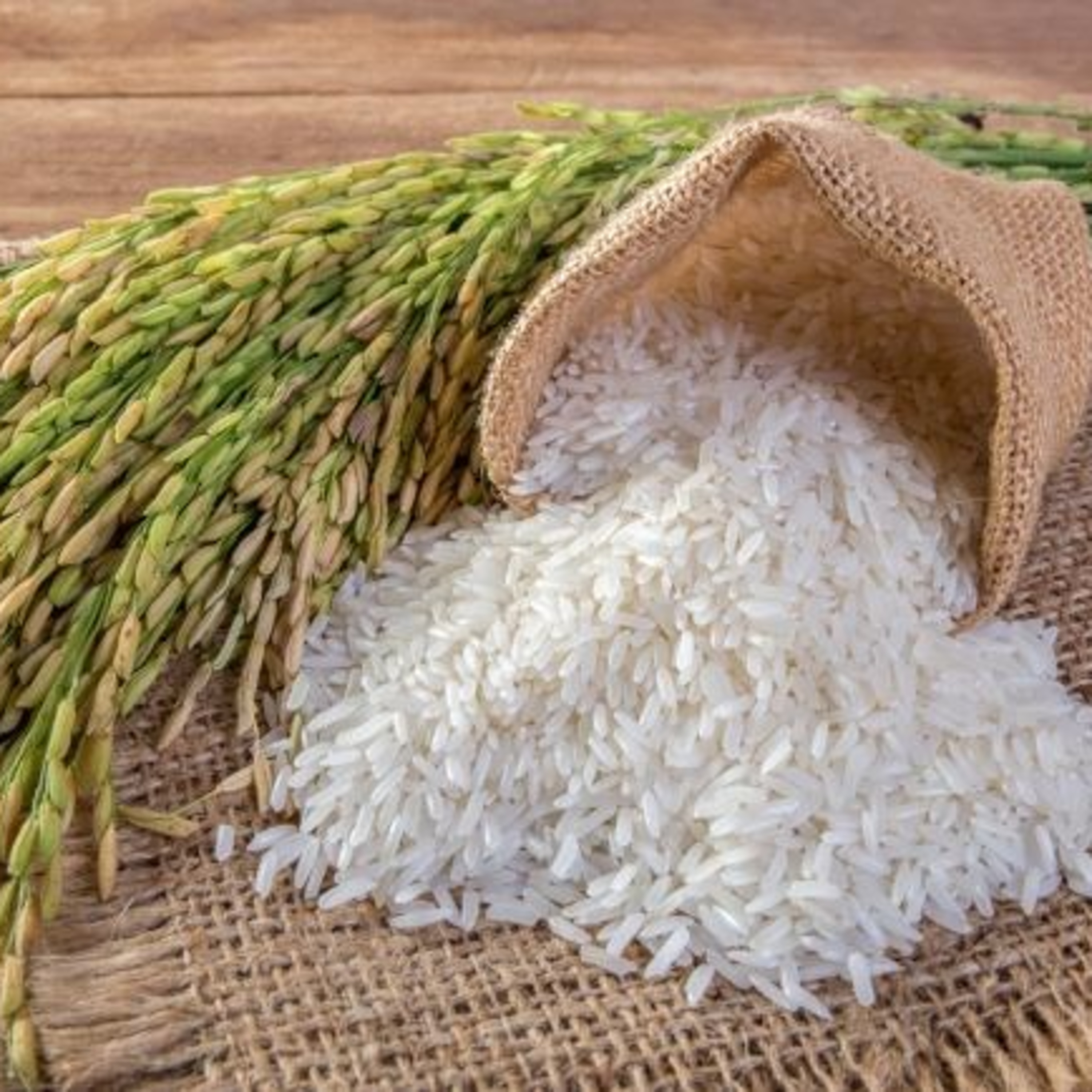 THỜI SỰ 12H TRƯA 9/10/2024: Thêm một thương hiệu gạo của Việt Nam thâm nhập thị trường Nhật Bản