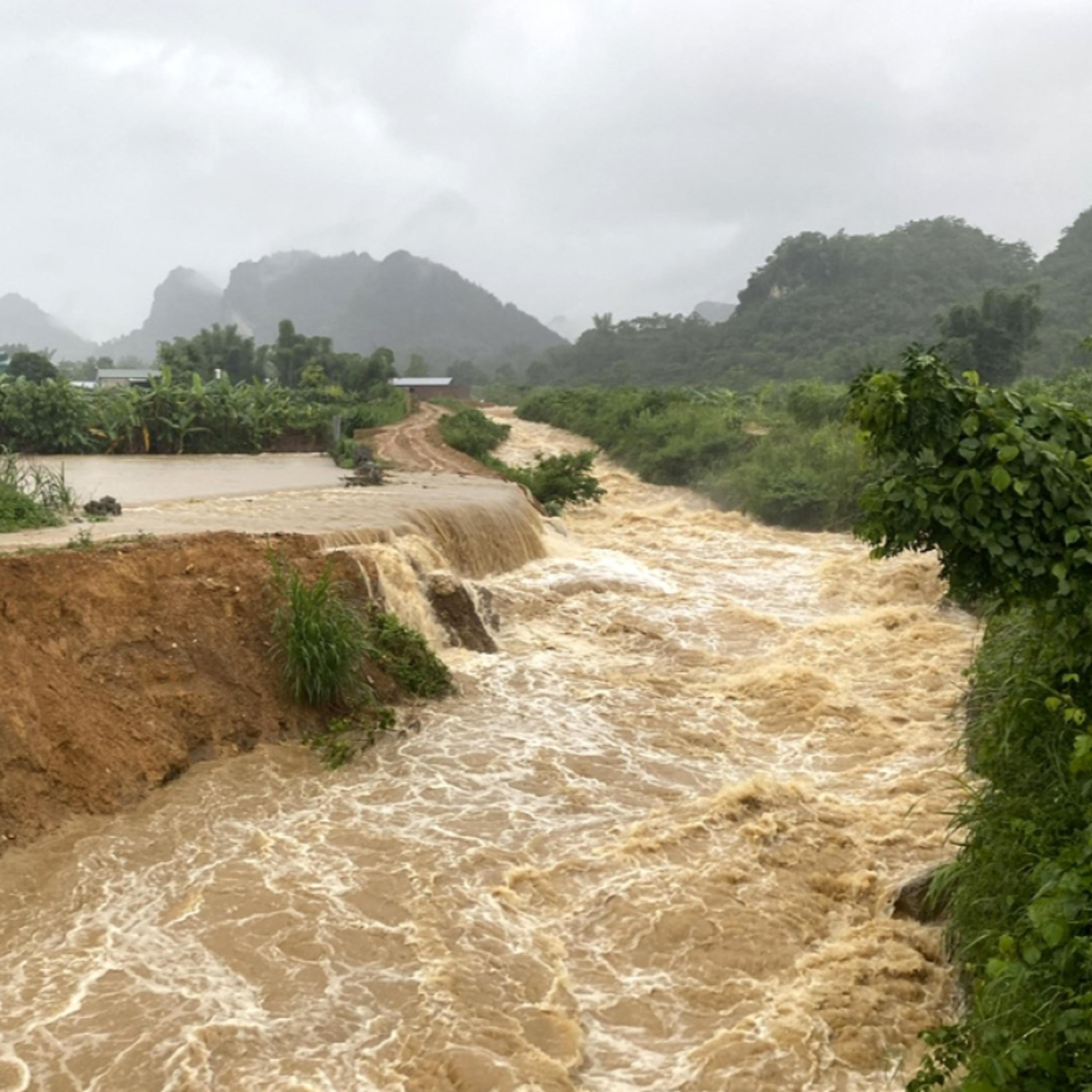 VOV - Chương trình thời sự