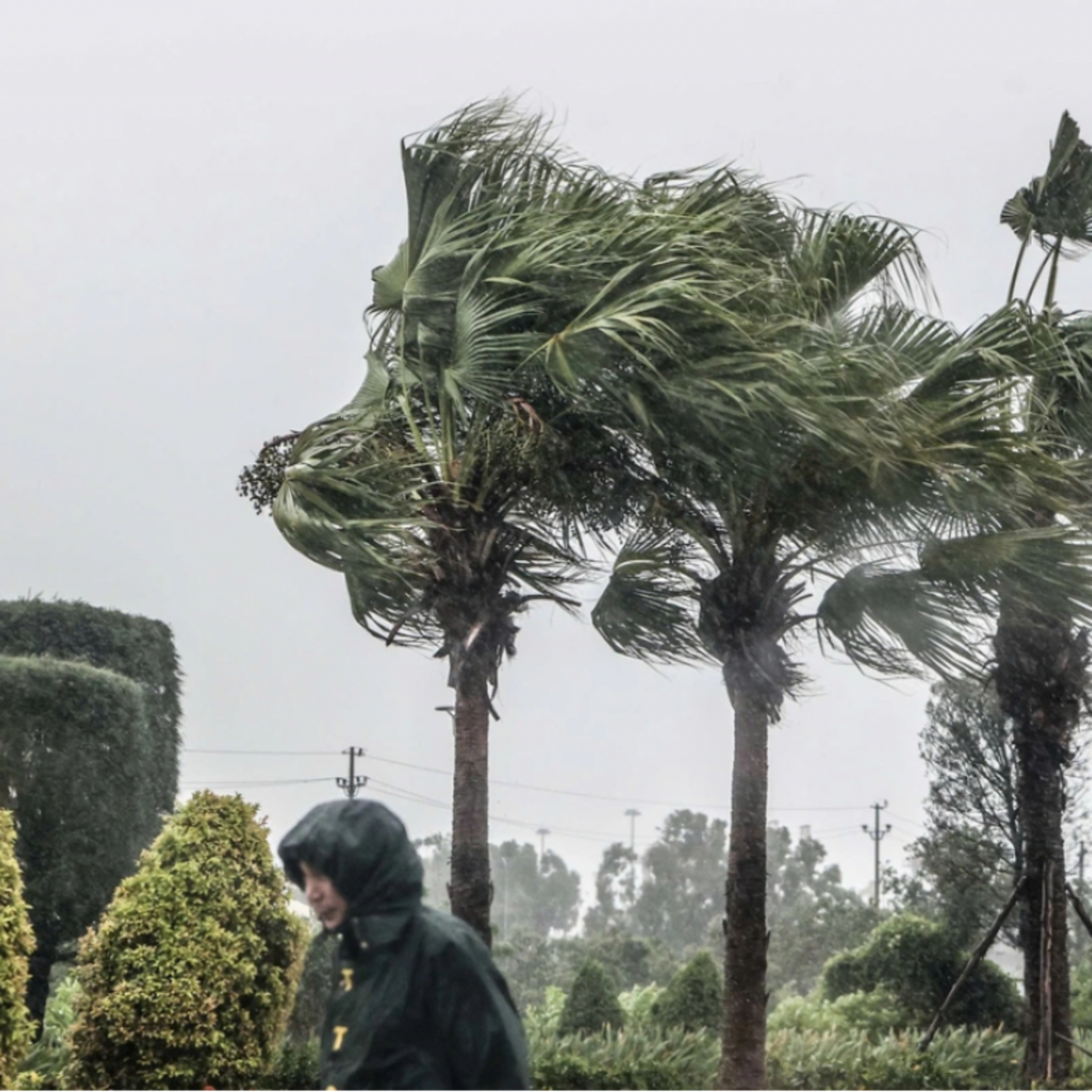 Thời sự 6h 21/7/2025: Bão số 3 giật cấp 14 đang tiến rất nhanh vào vùng biển Bắc Bộ